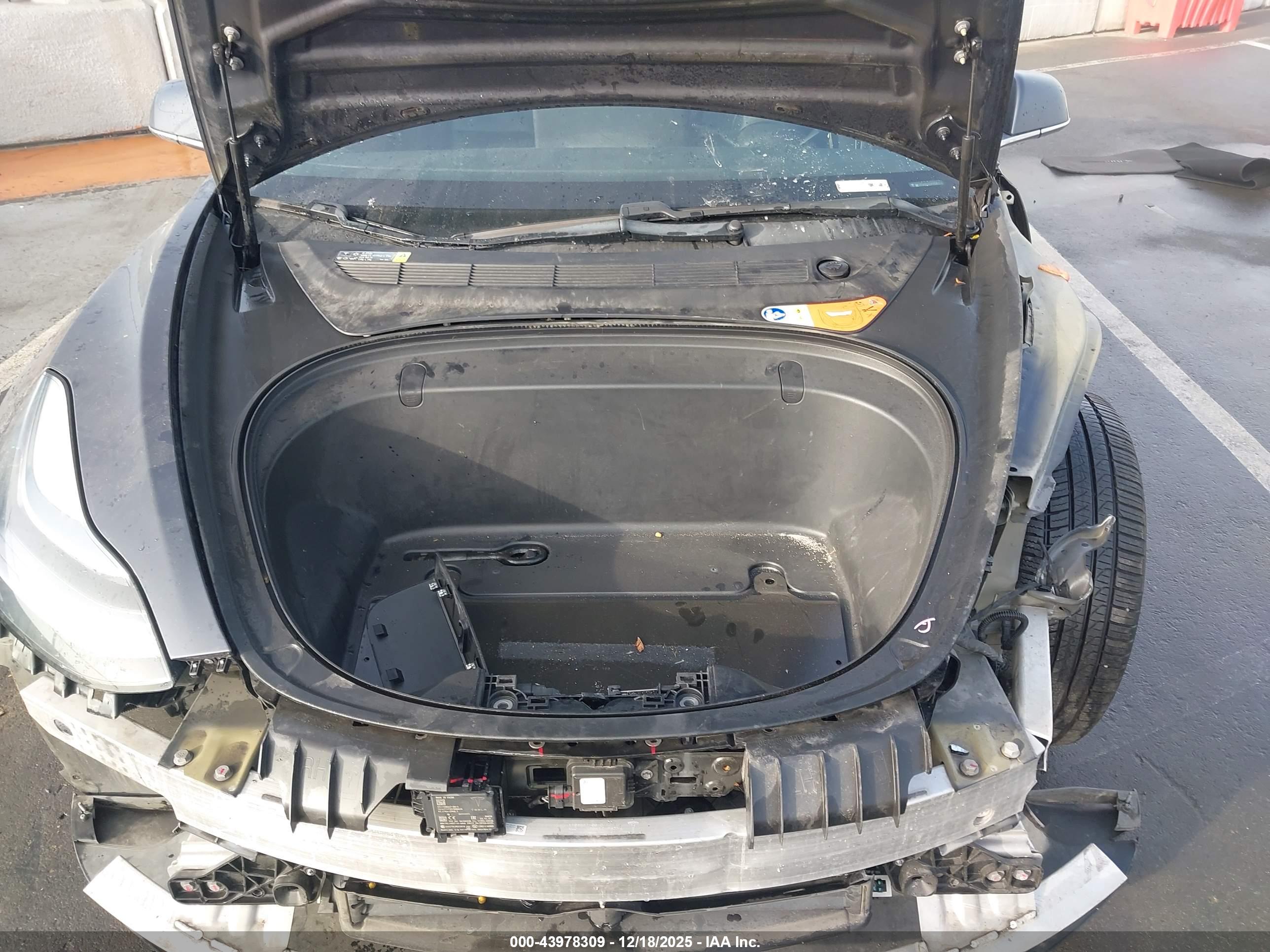TESLA MODEL image 10
