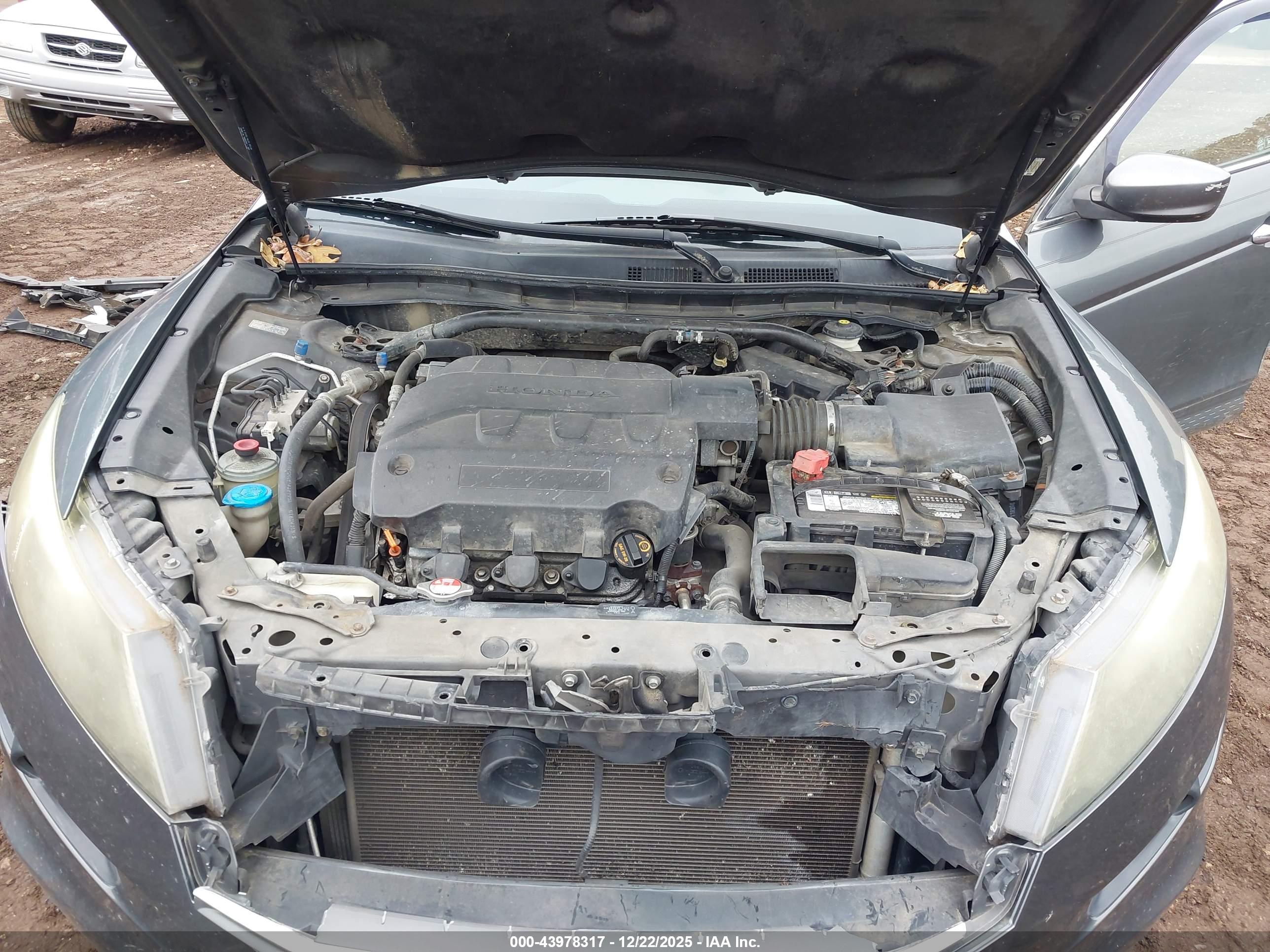 HONDA CROSSTOUR image 10
