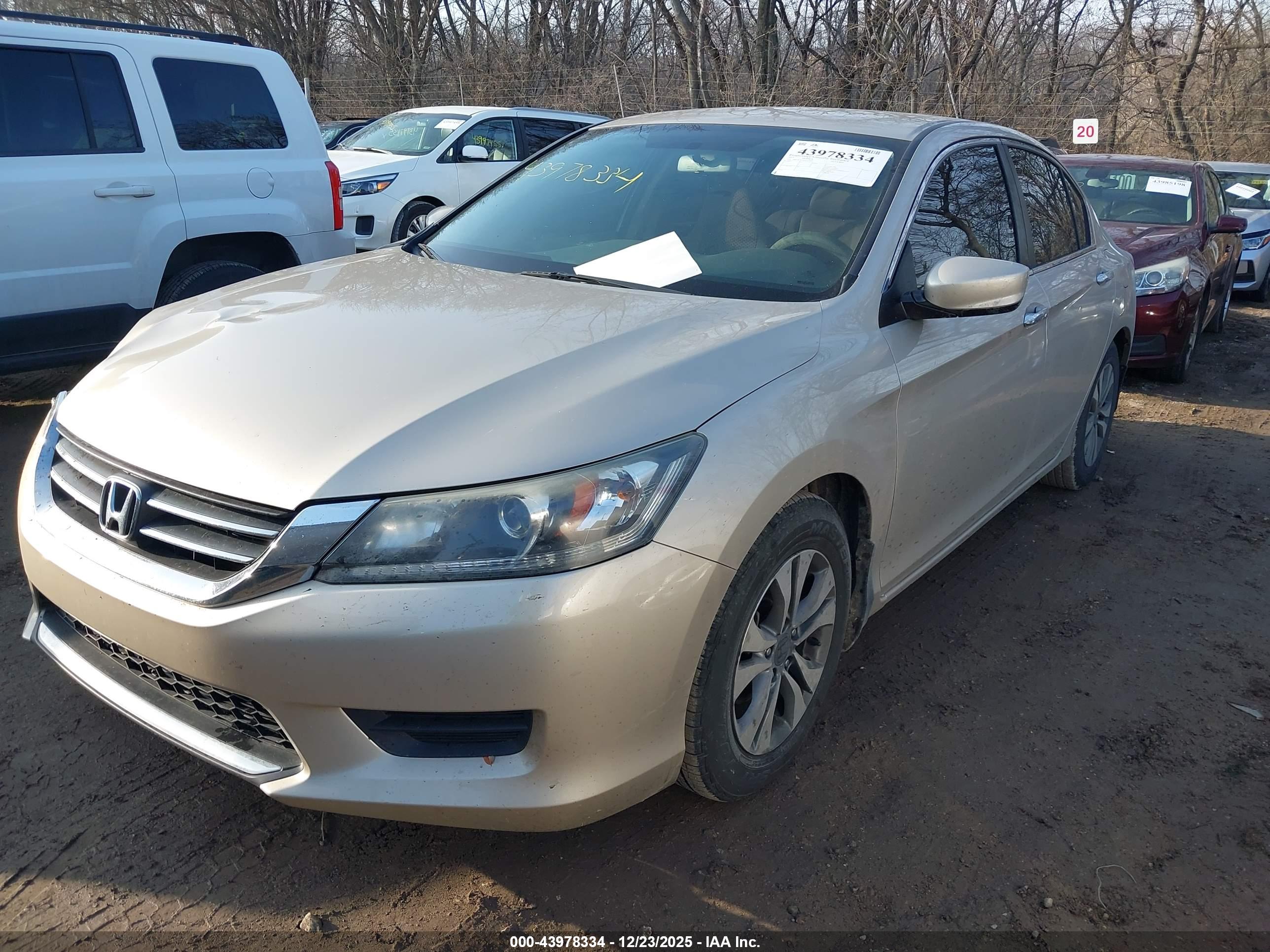 HONDA ACCORD image 2