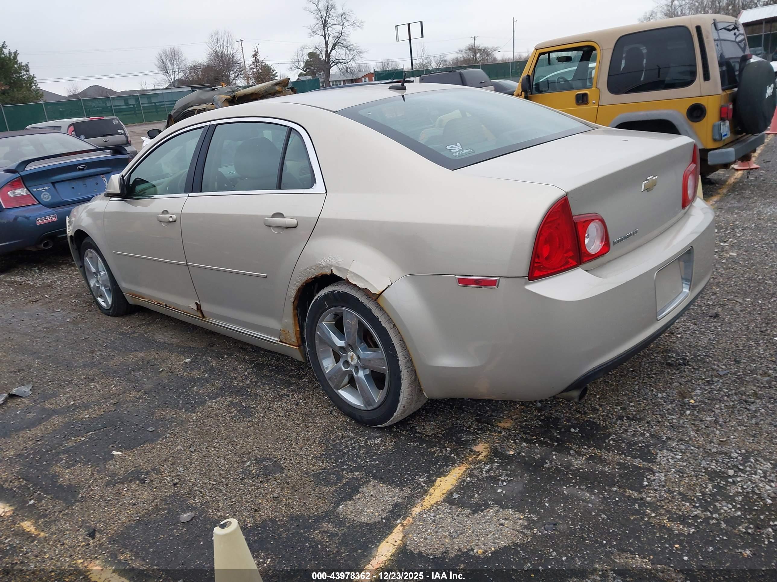 CHEVROLET MALIBU image 3