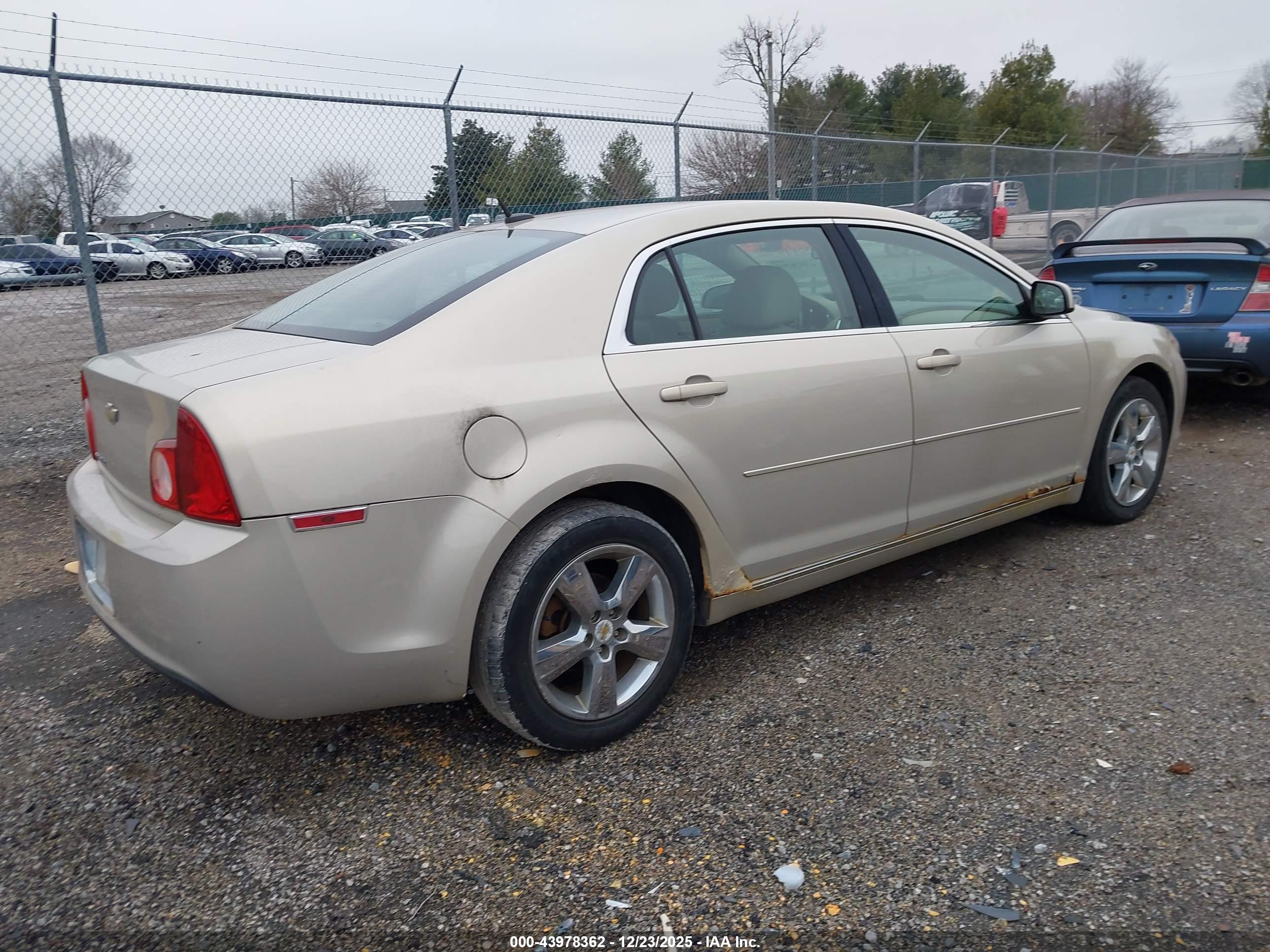 CHEVROLET MALIBU image 4