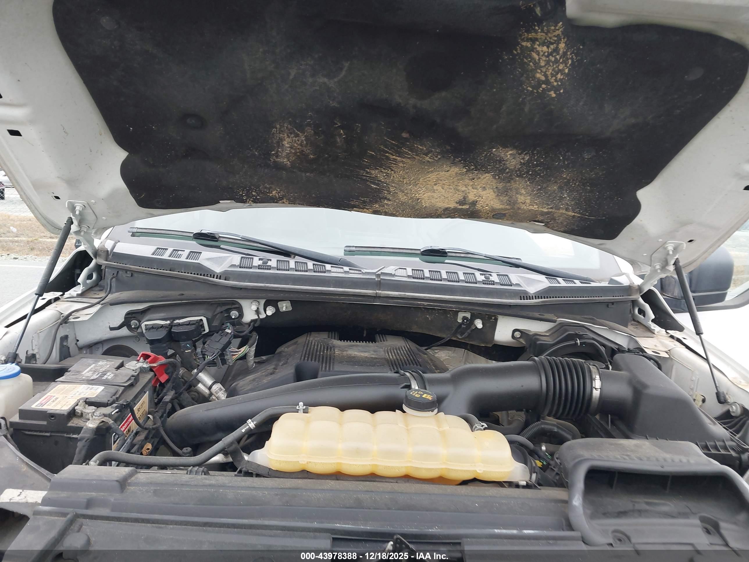 FORD F-150 image 10
