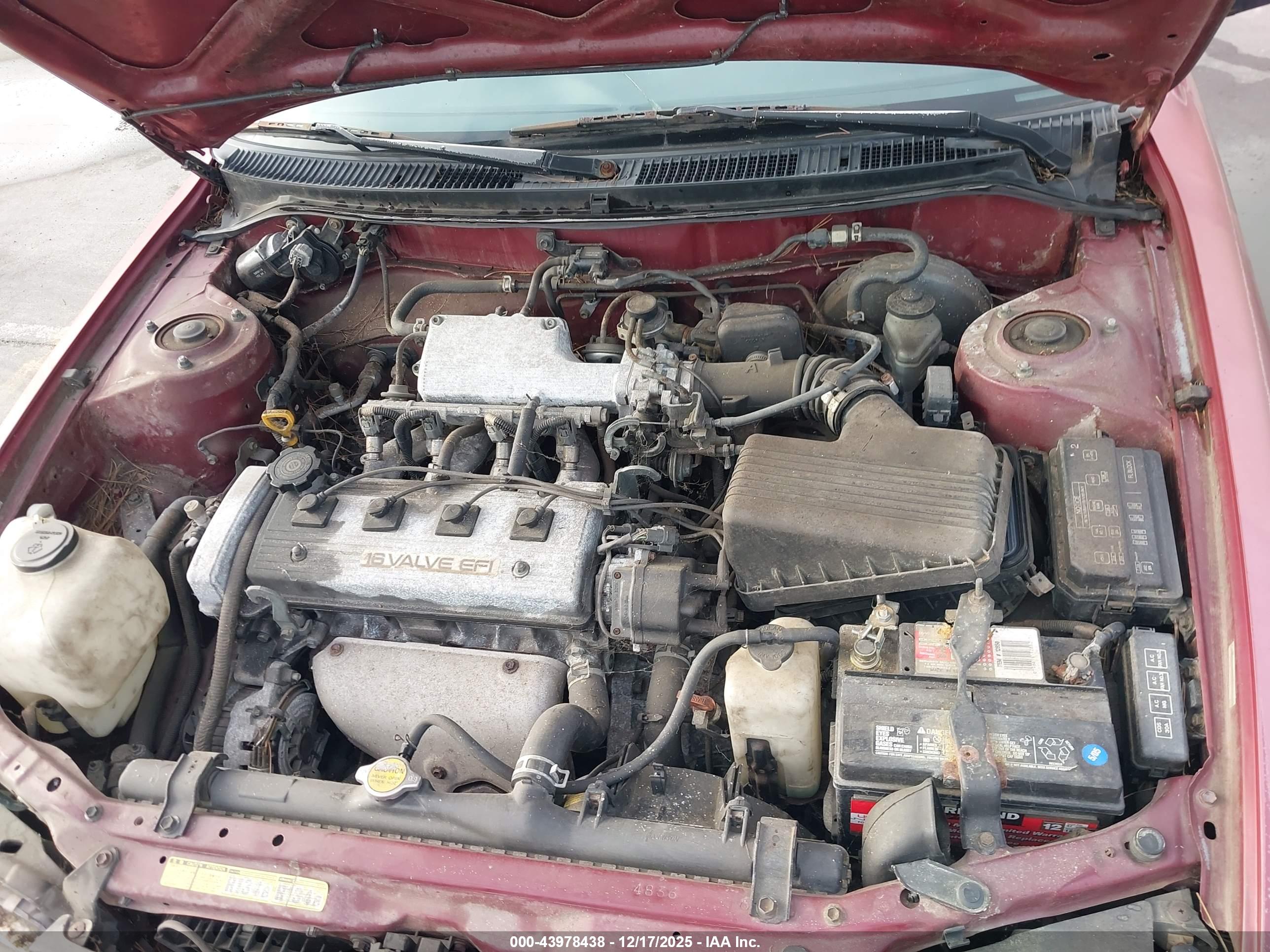 TOYOTA COROLLA image 10