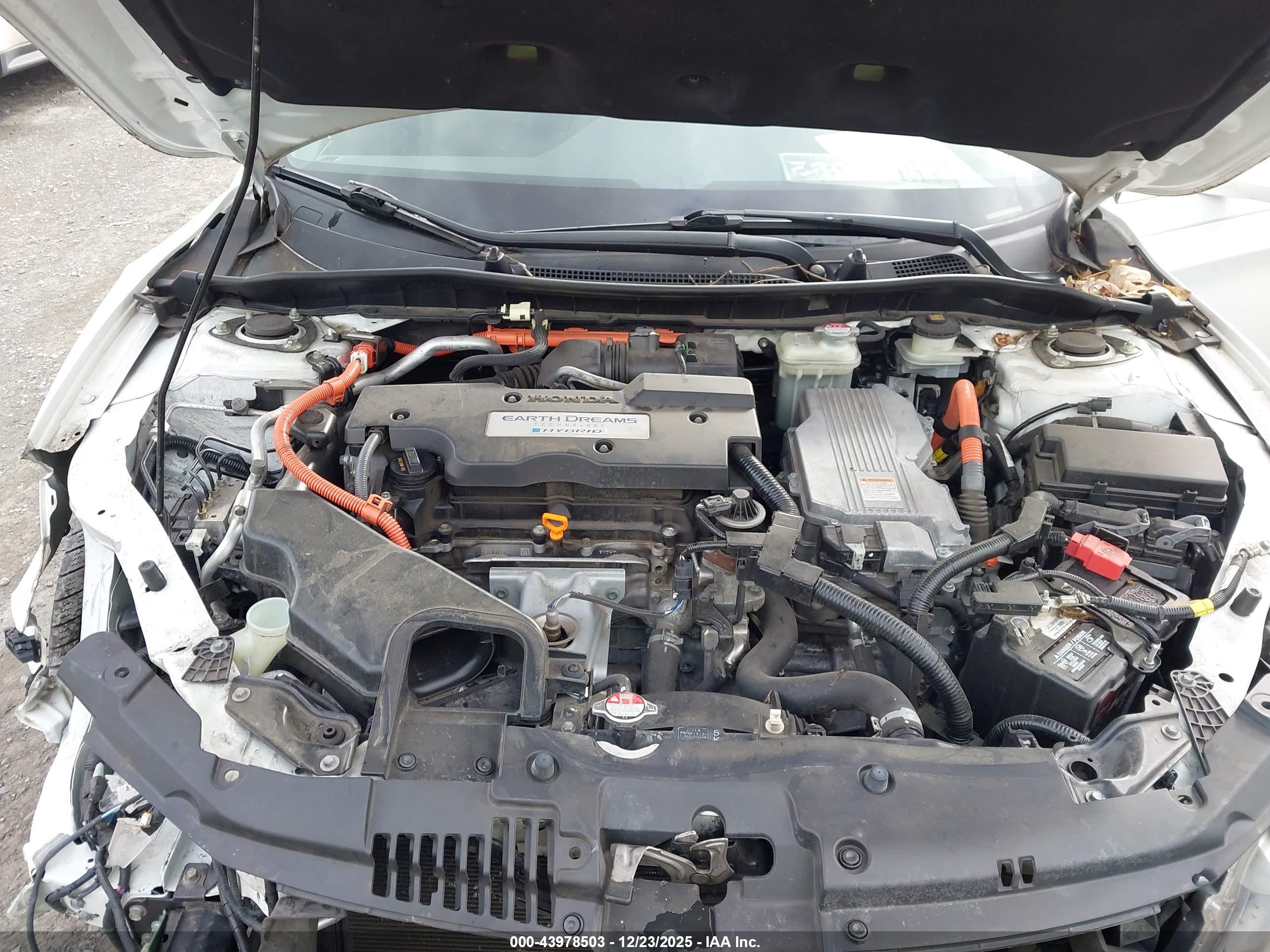 HONDA ACCORD image 10