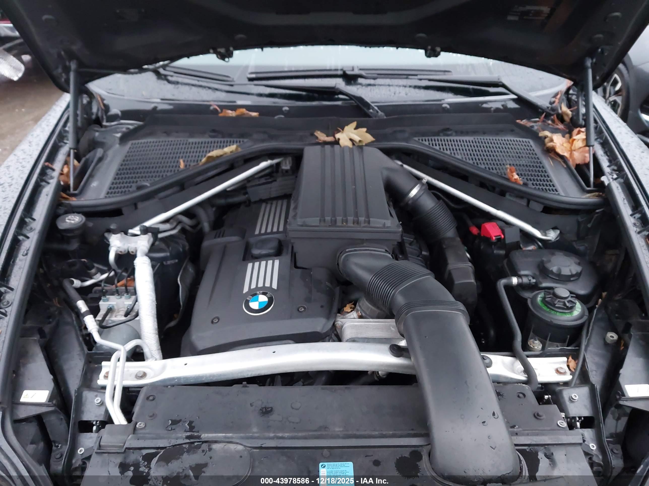BMW X5 image 10