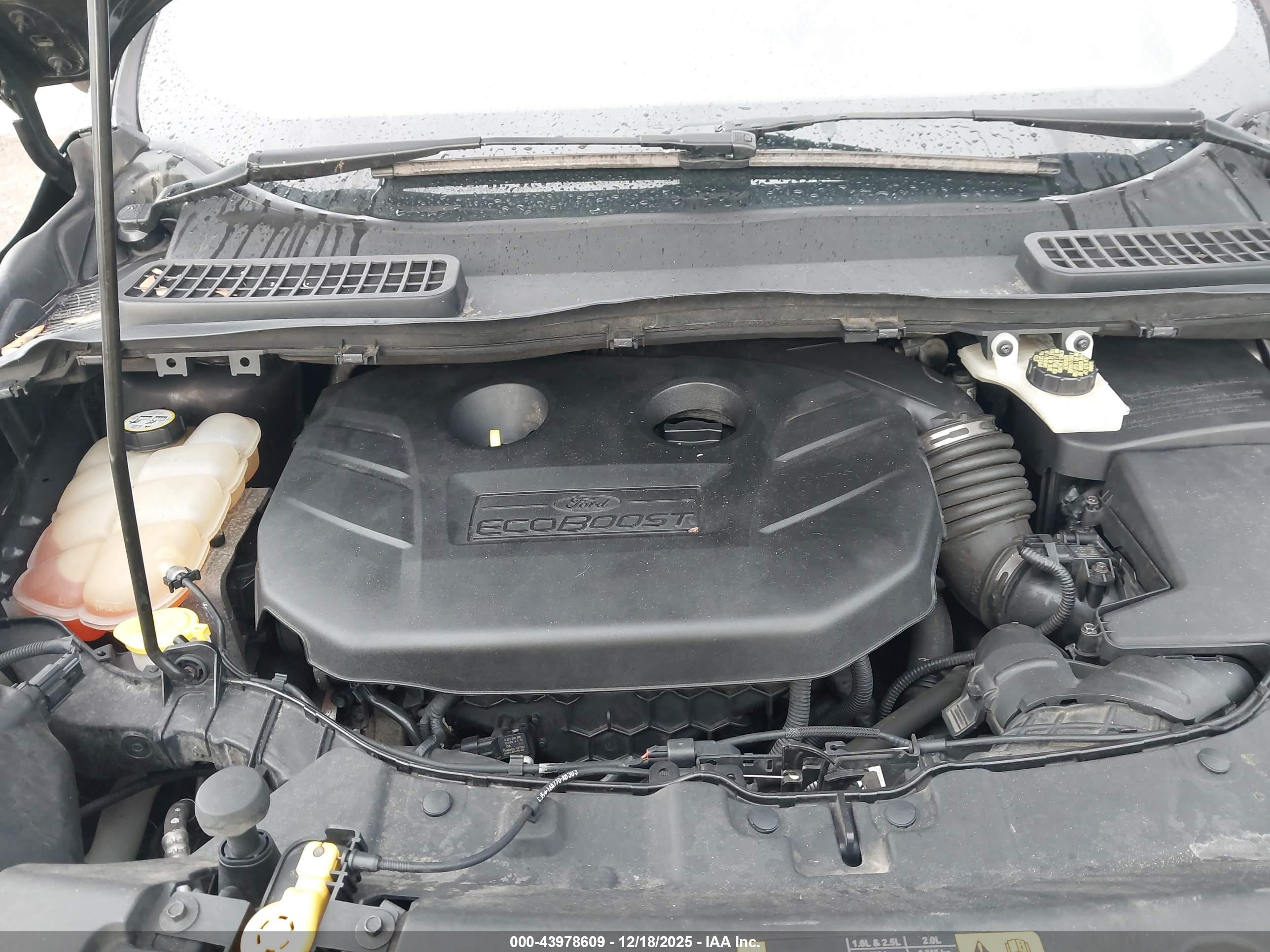 FORD ESCAPE image 10