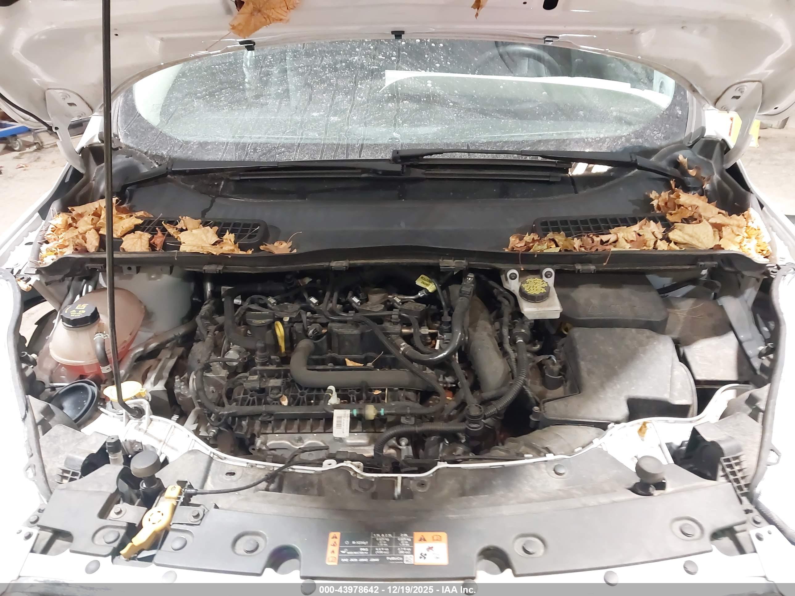FORD ESCAPE image 10