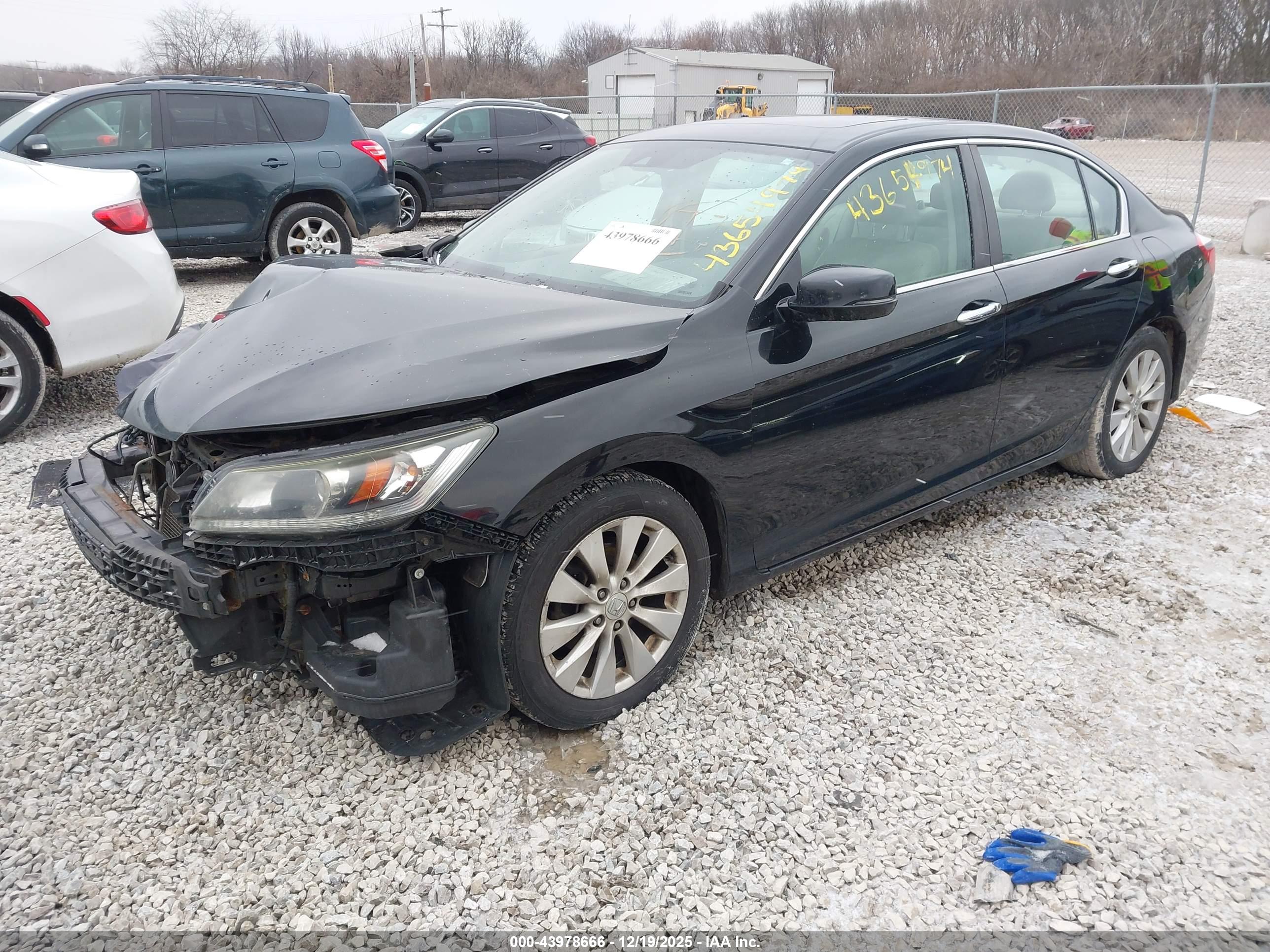 HONDA ACCORD image 2