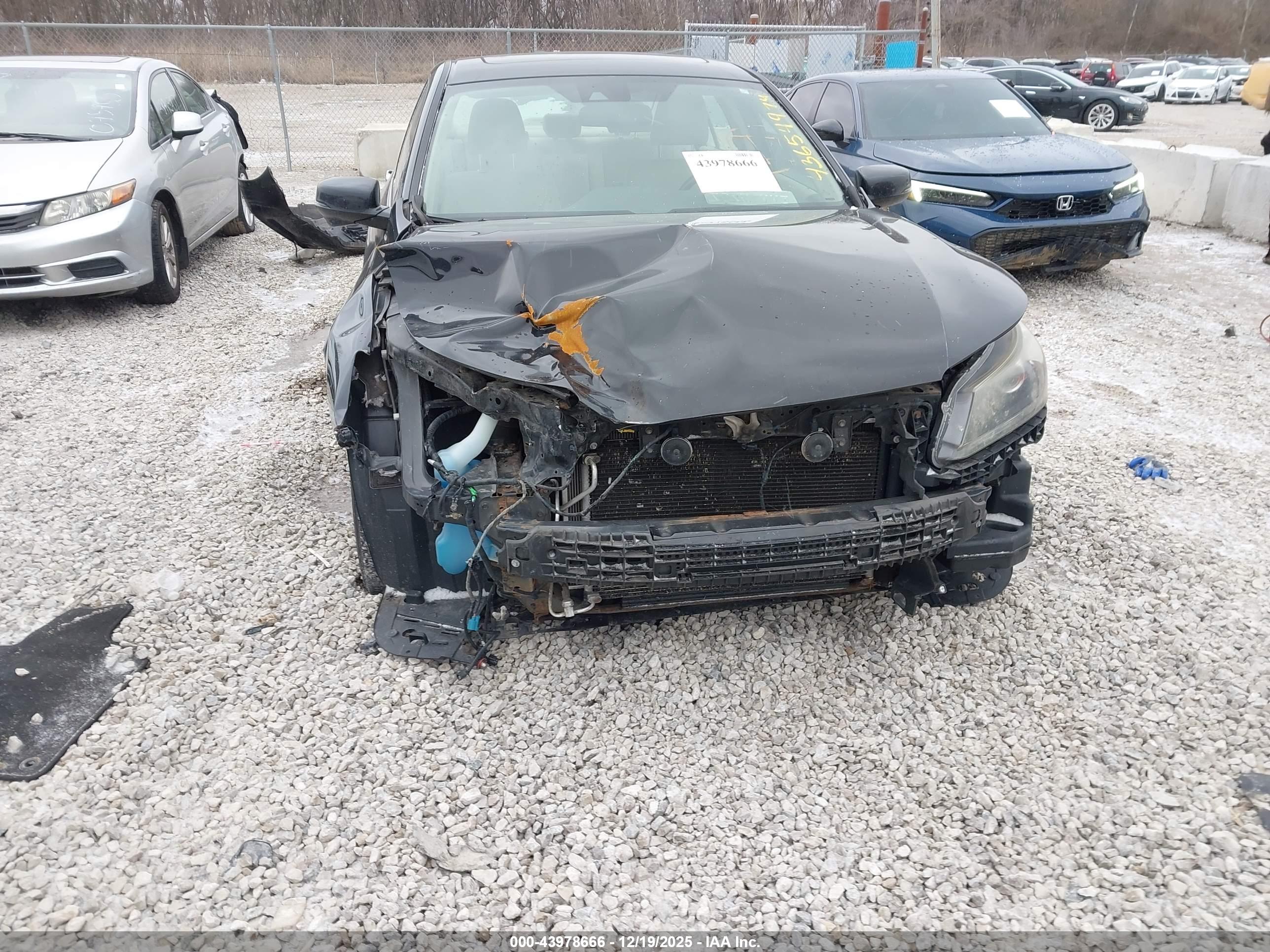 HONDA ACCORD image 6