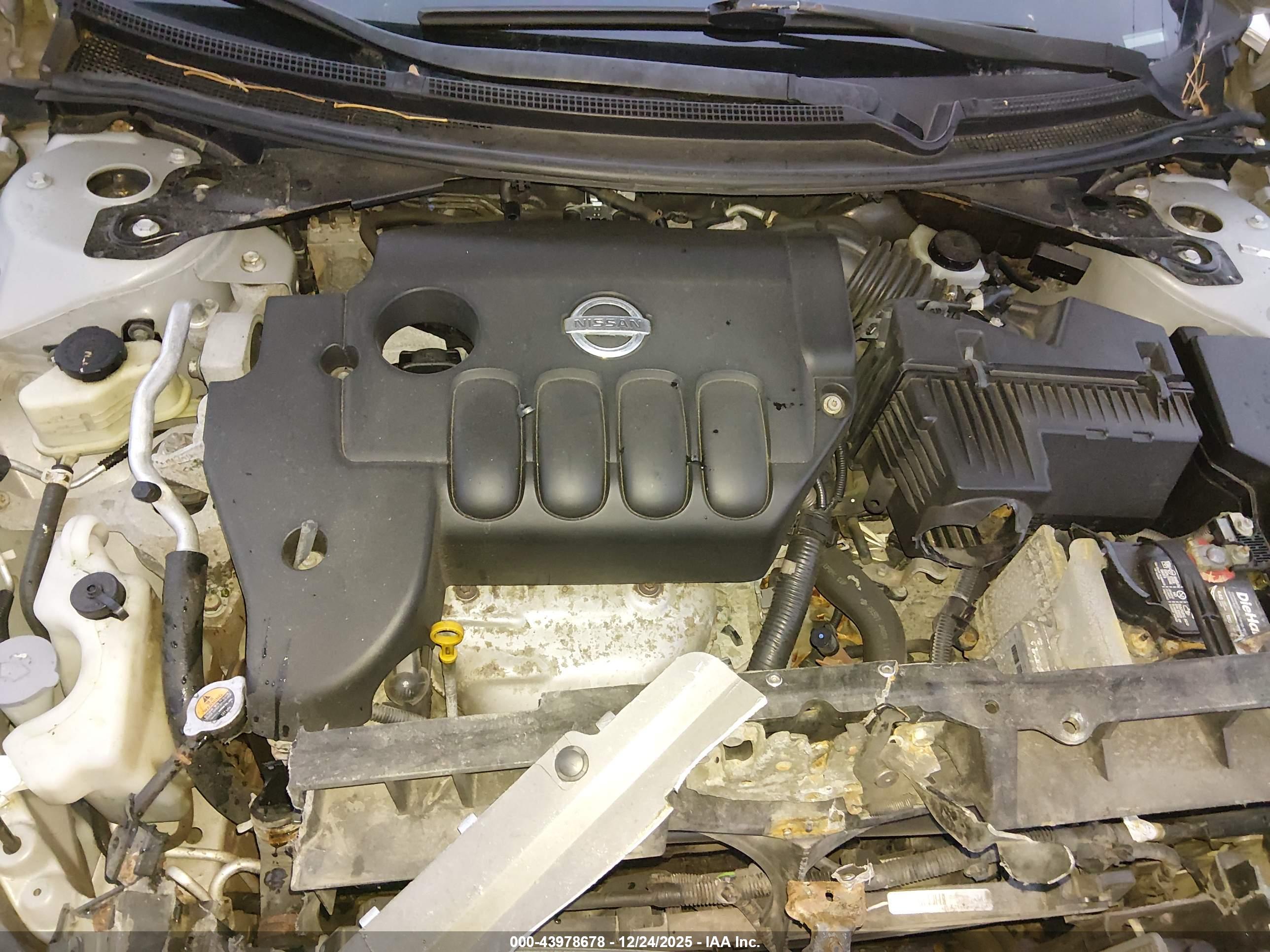NISSAN ALTIMA image 10