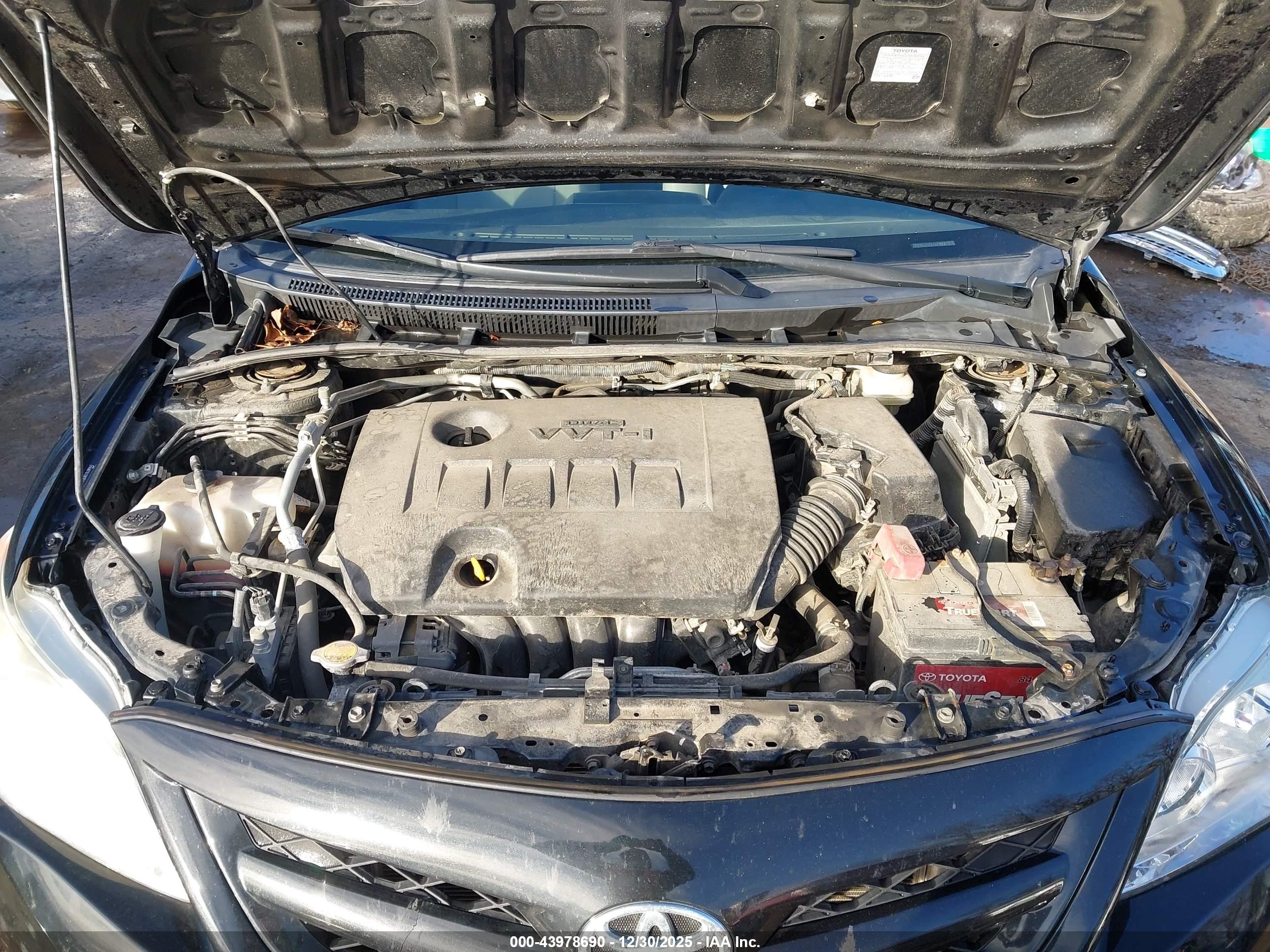 TOYOTA COROLLA image 10