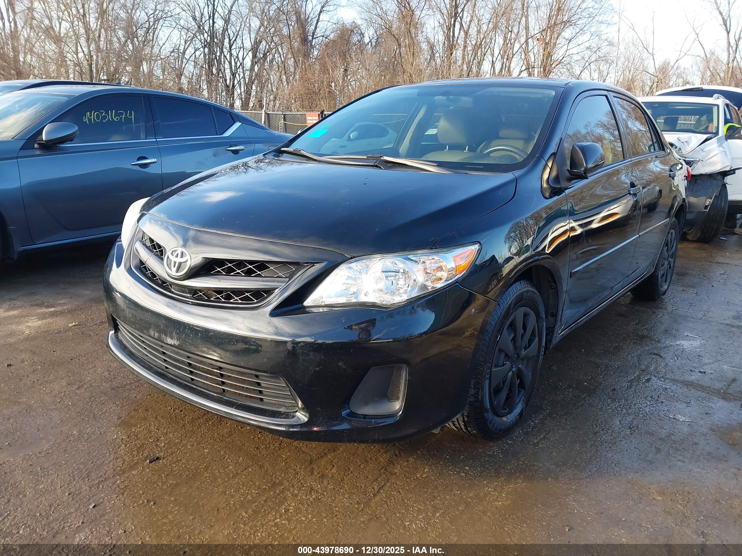 TOYOTA COROLLA image 2
