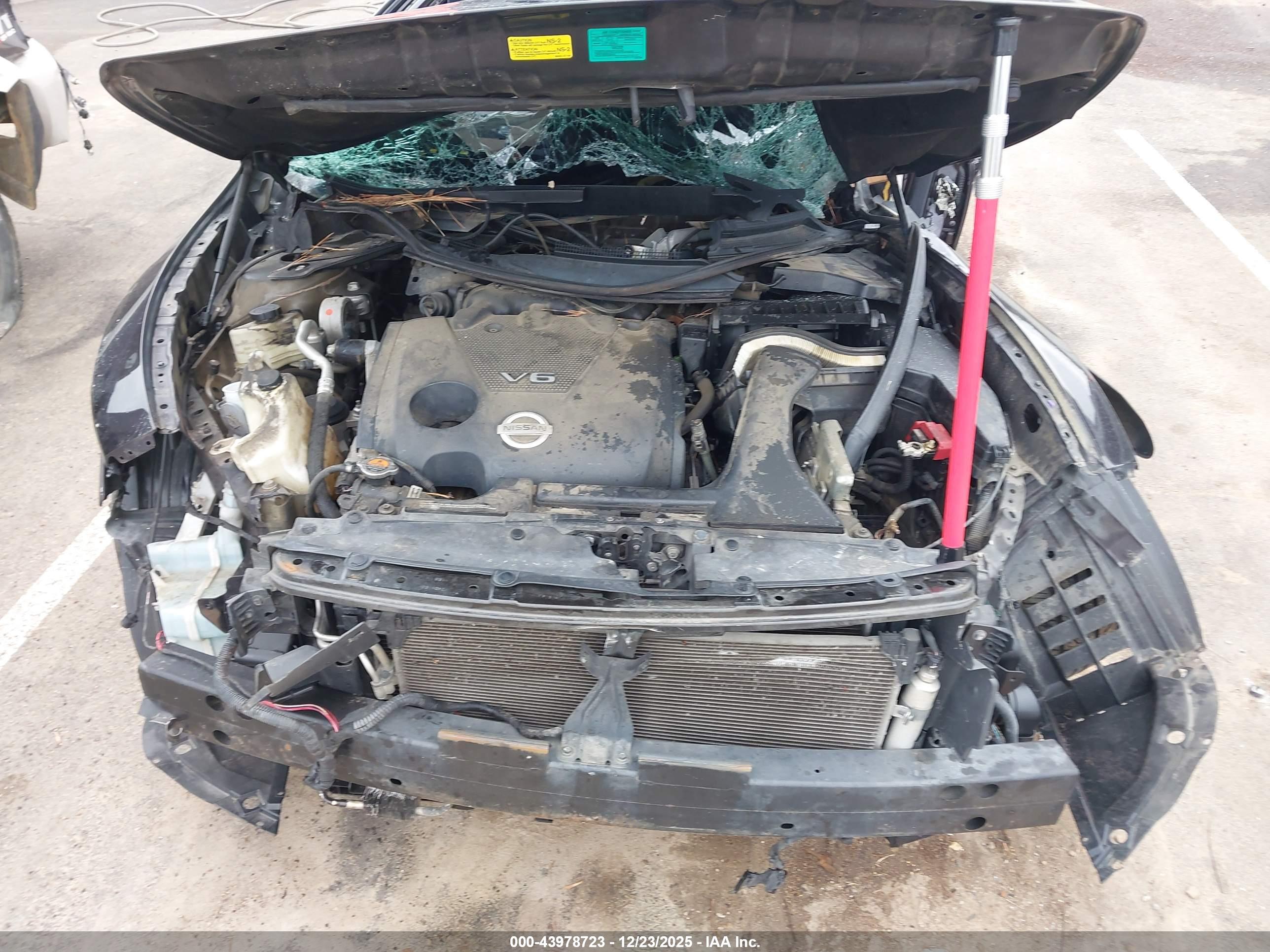 NISSAN MAXIMA image 10