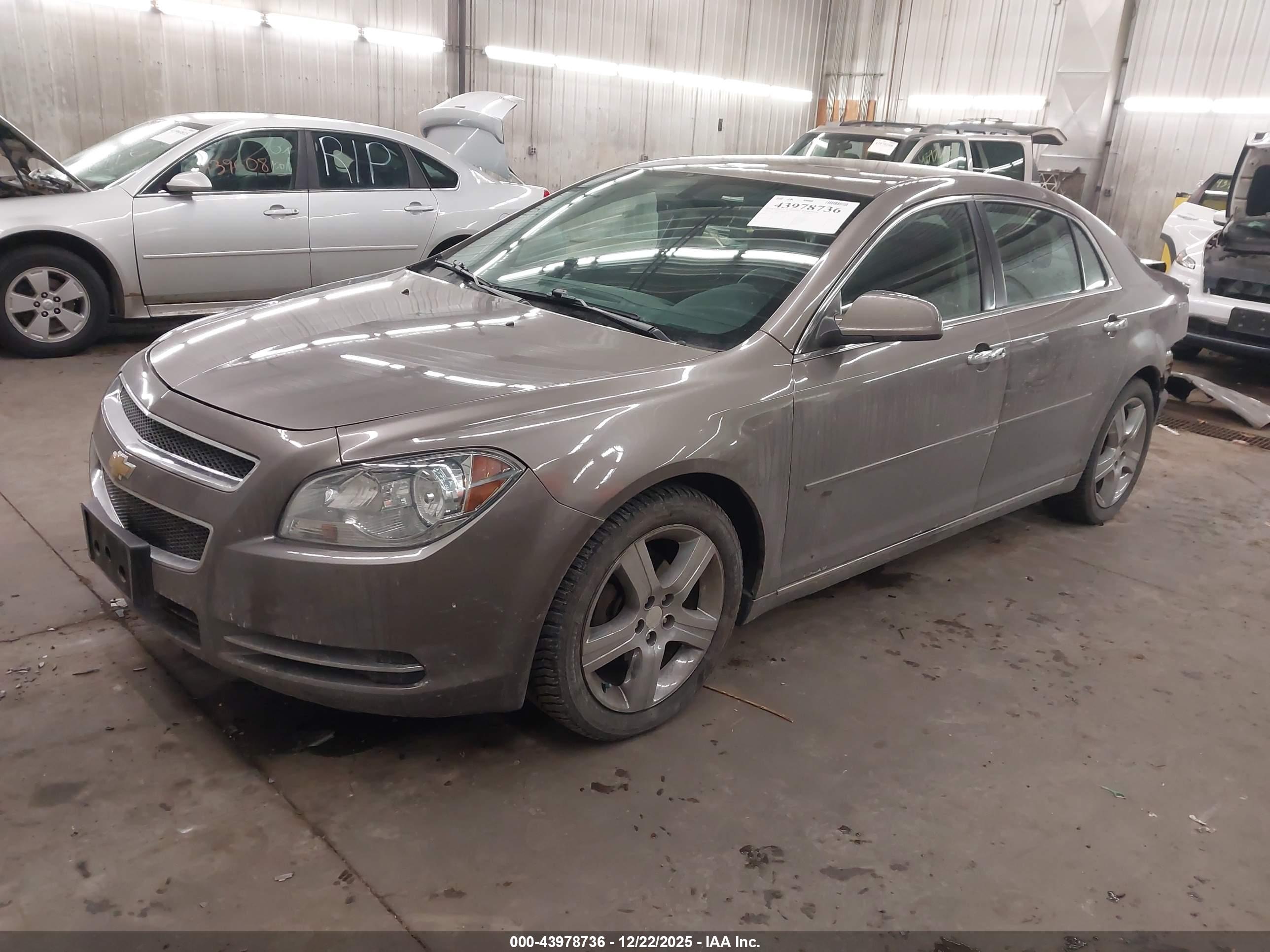 CHEVROLET MALIBU image 2