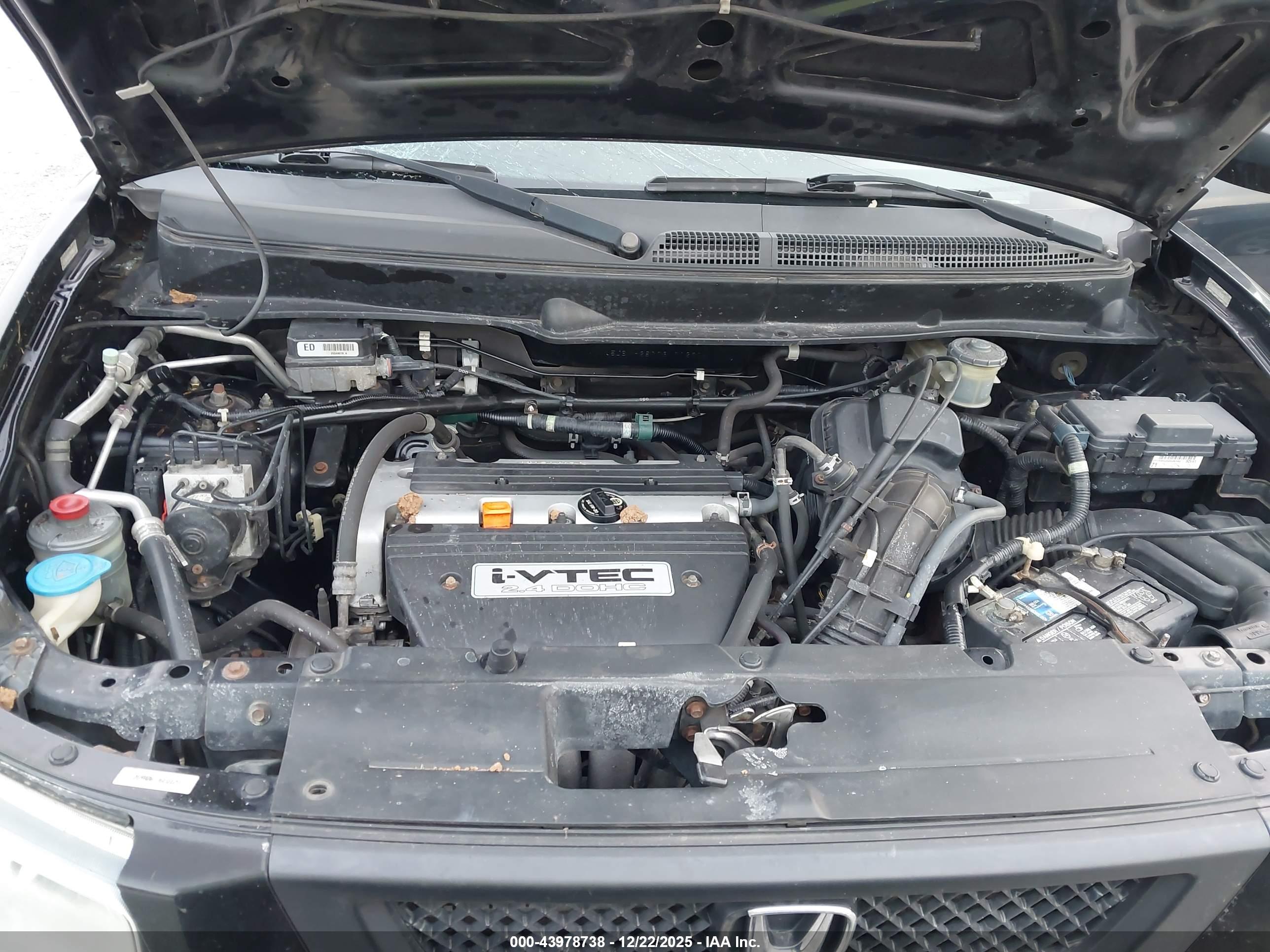 HONDA ELEMENT image 10