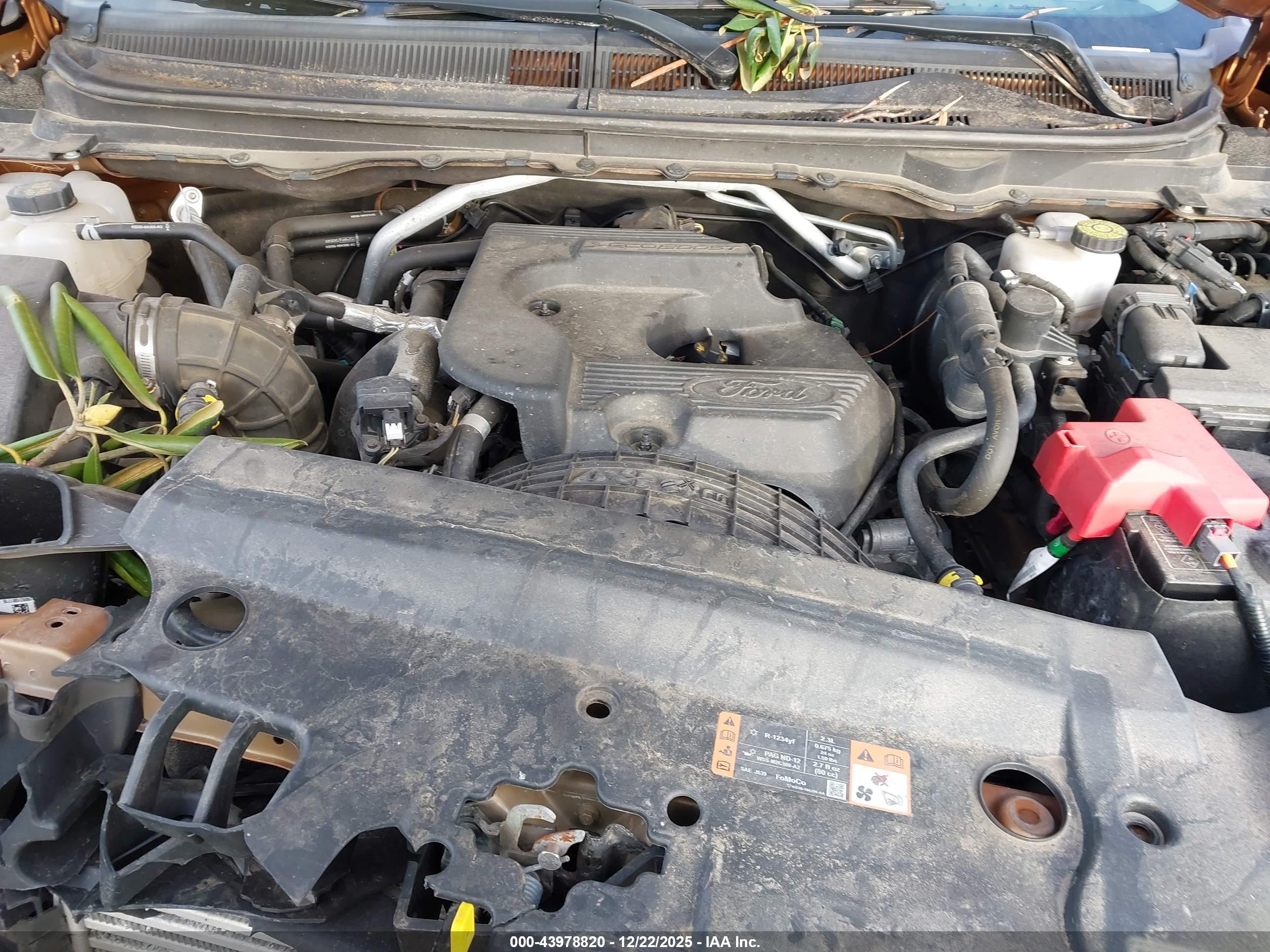 FORD RANGER image 10