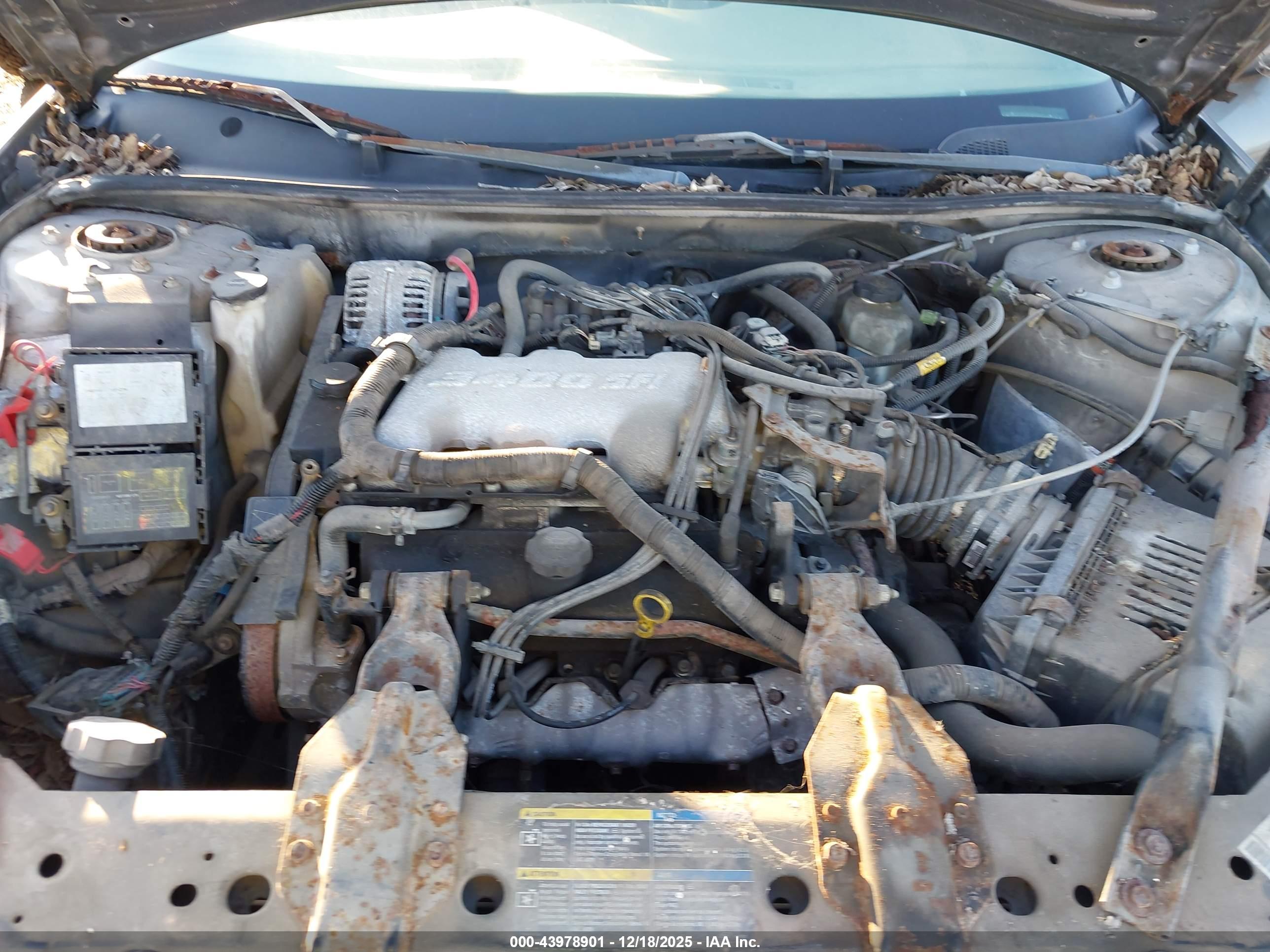 CHEVROLET IMPALA image 10