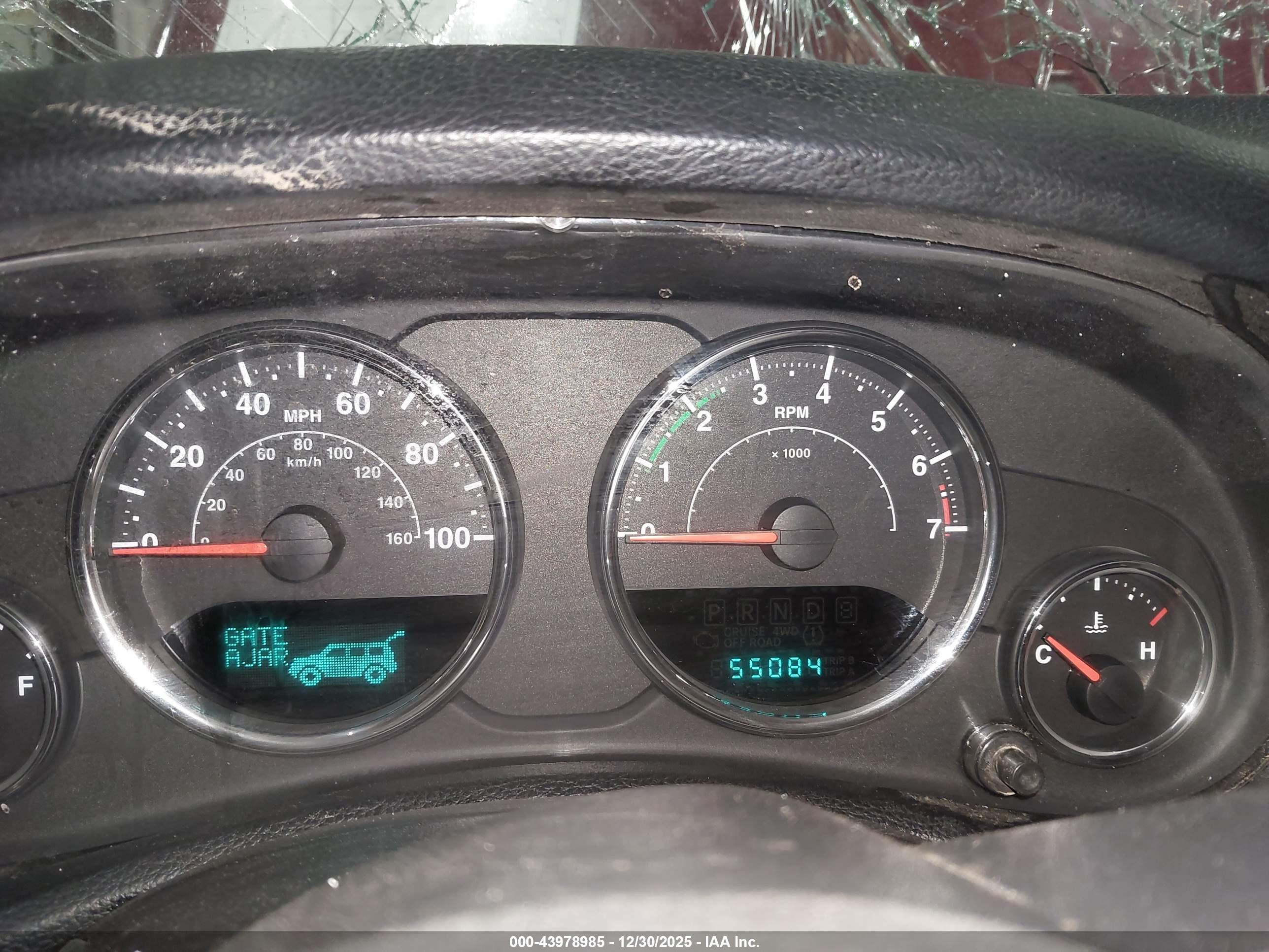 JEEP WRANGLER image 7