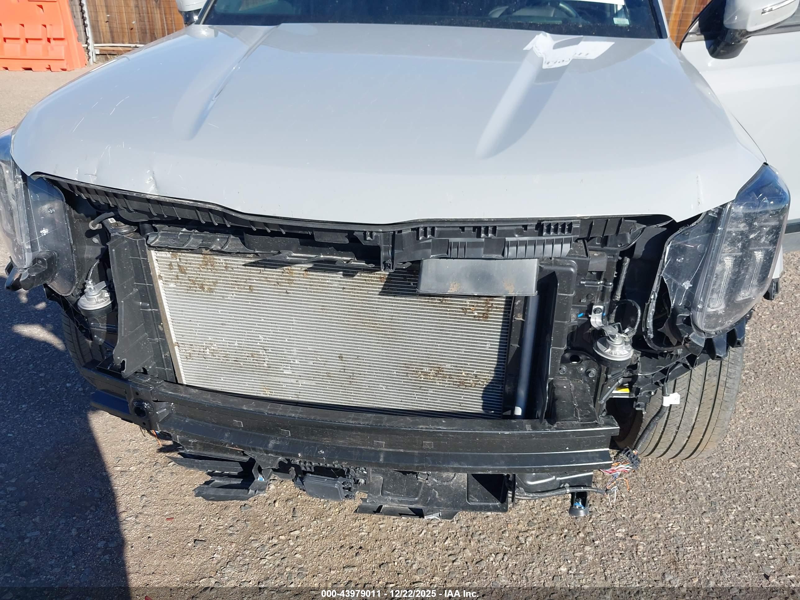KIA TELLURIDE image 6