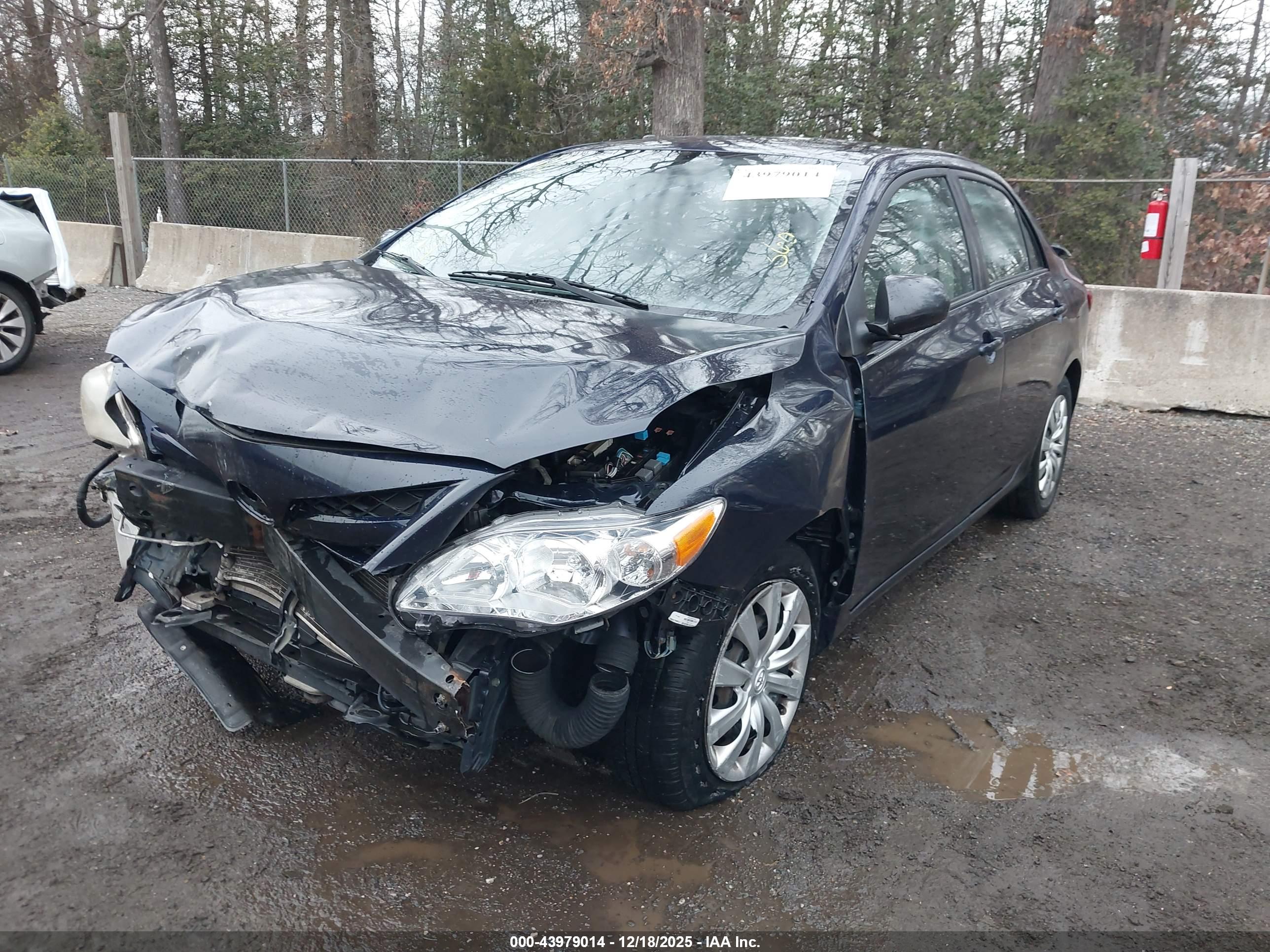 TOYOTA COROLLA image 6