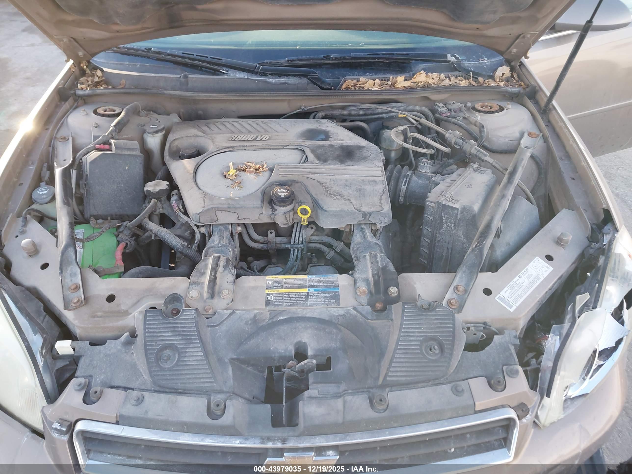CHEVROLET IMPALA image 10