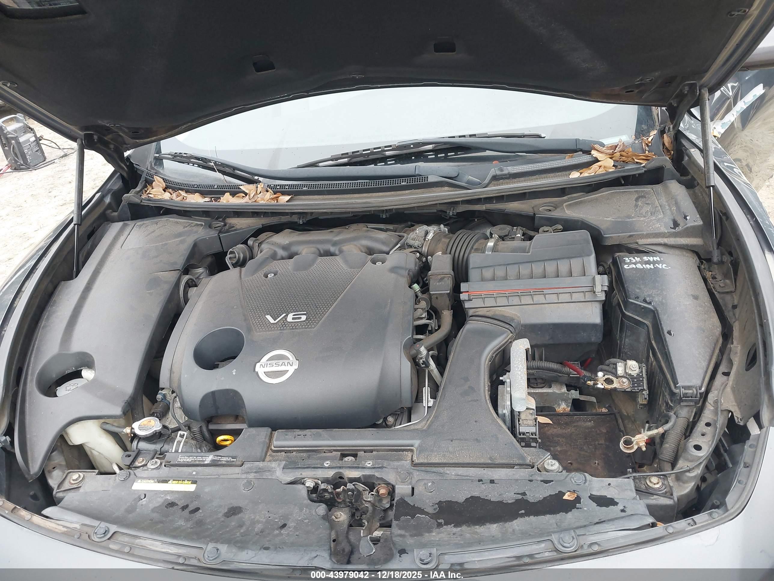 NISSAN MAXIMA image 10