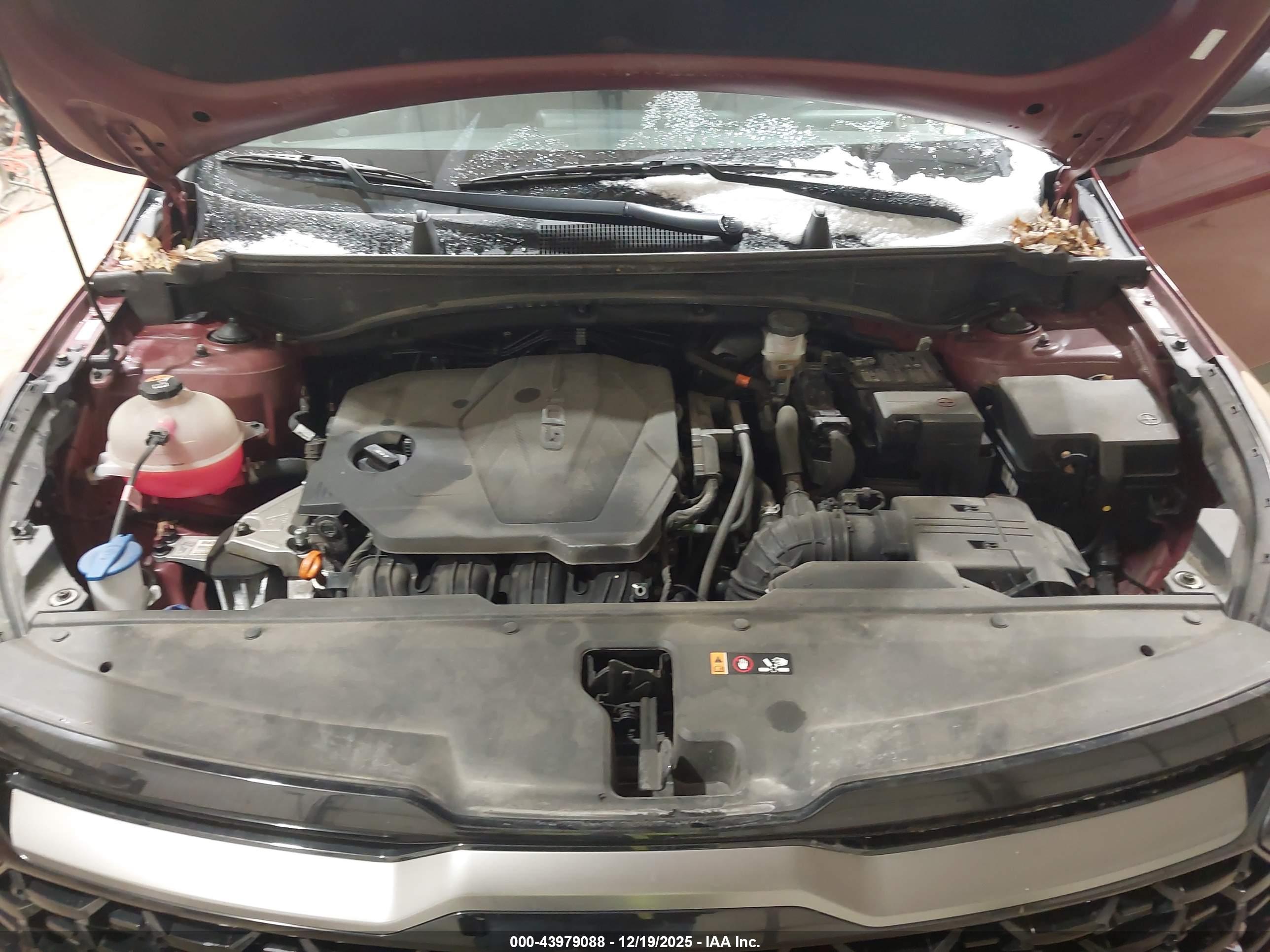 KIA SPORTAGE image 10