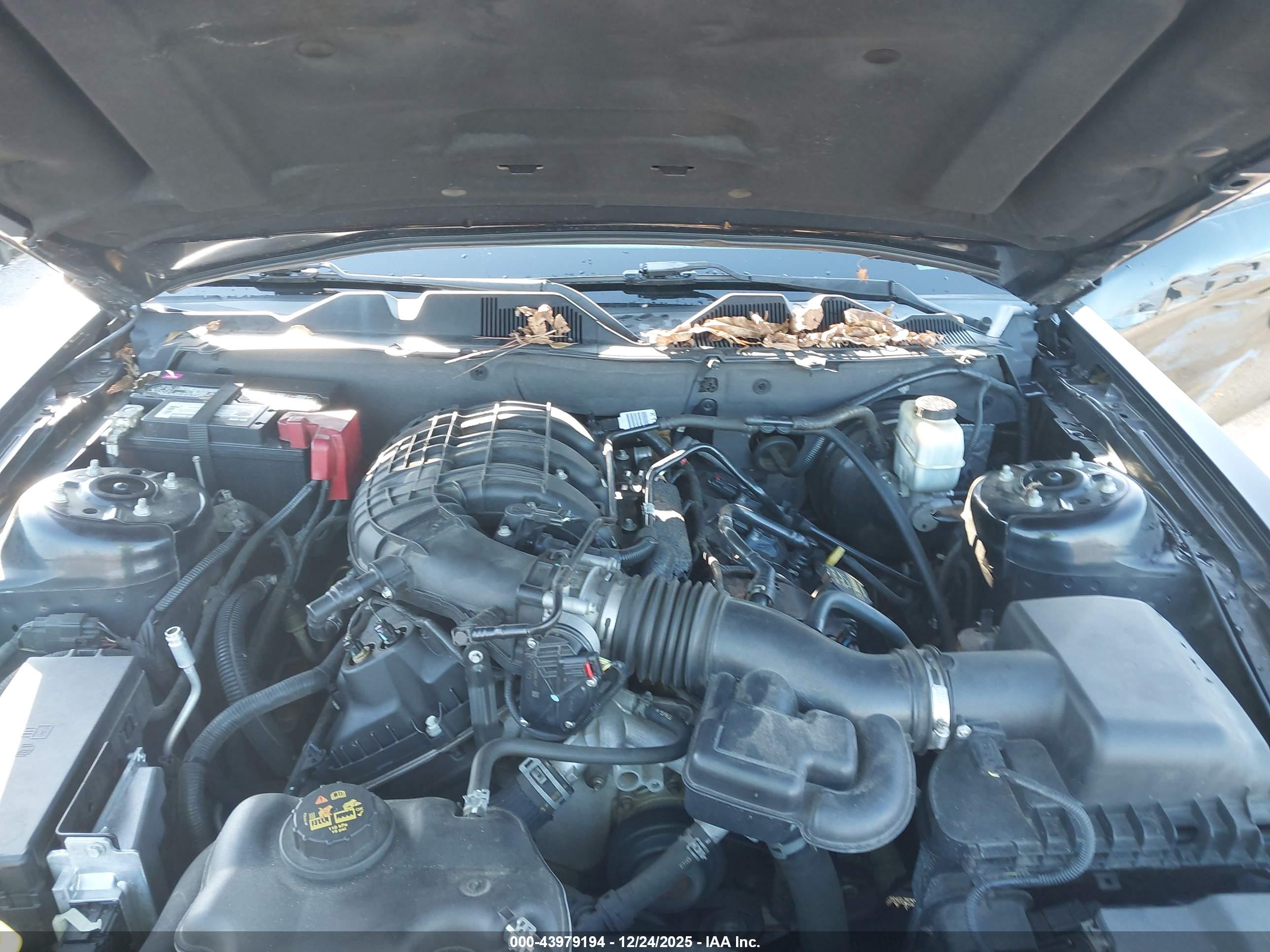 FORD MUSTANG image 10