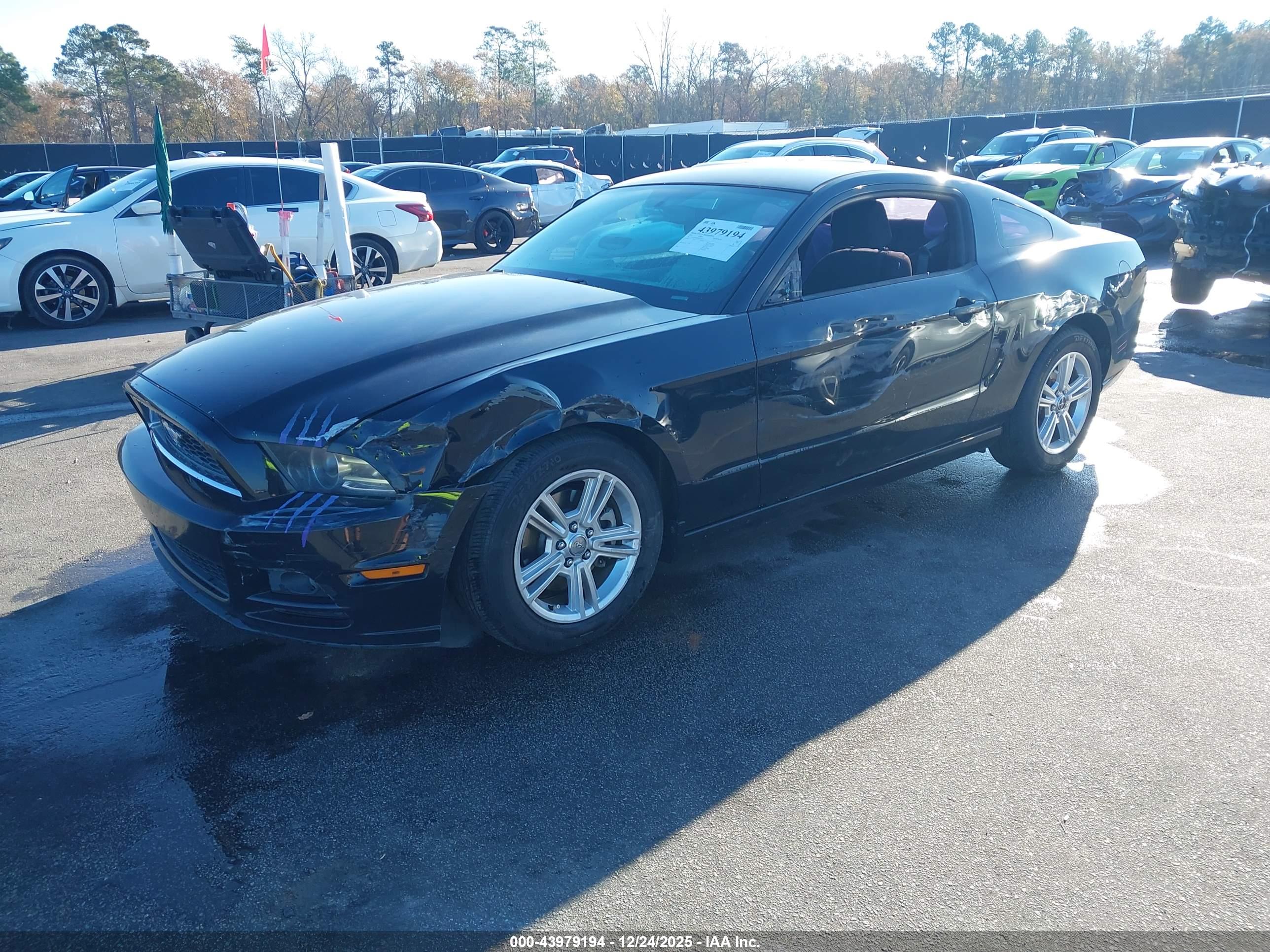 FORD MUSTANG image 2