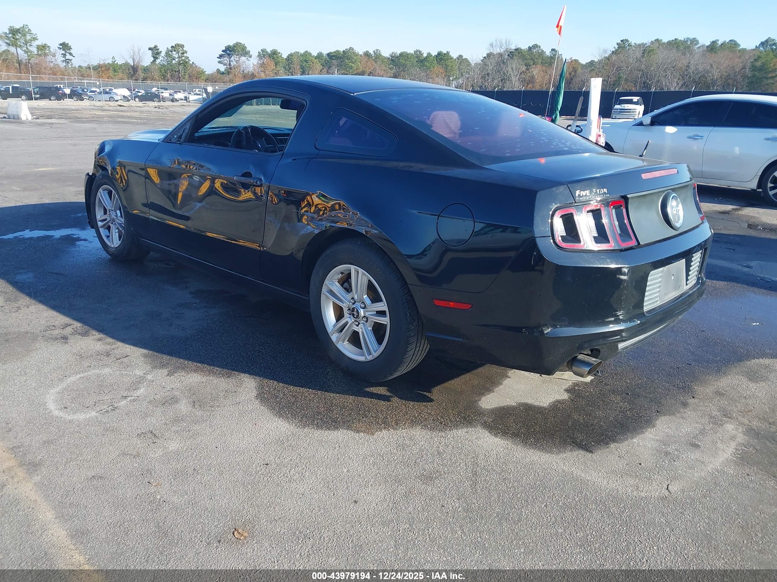 FORD MUSTANG image 3