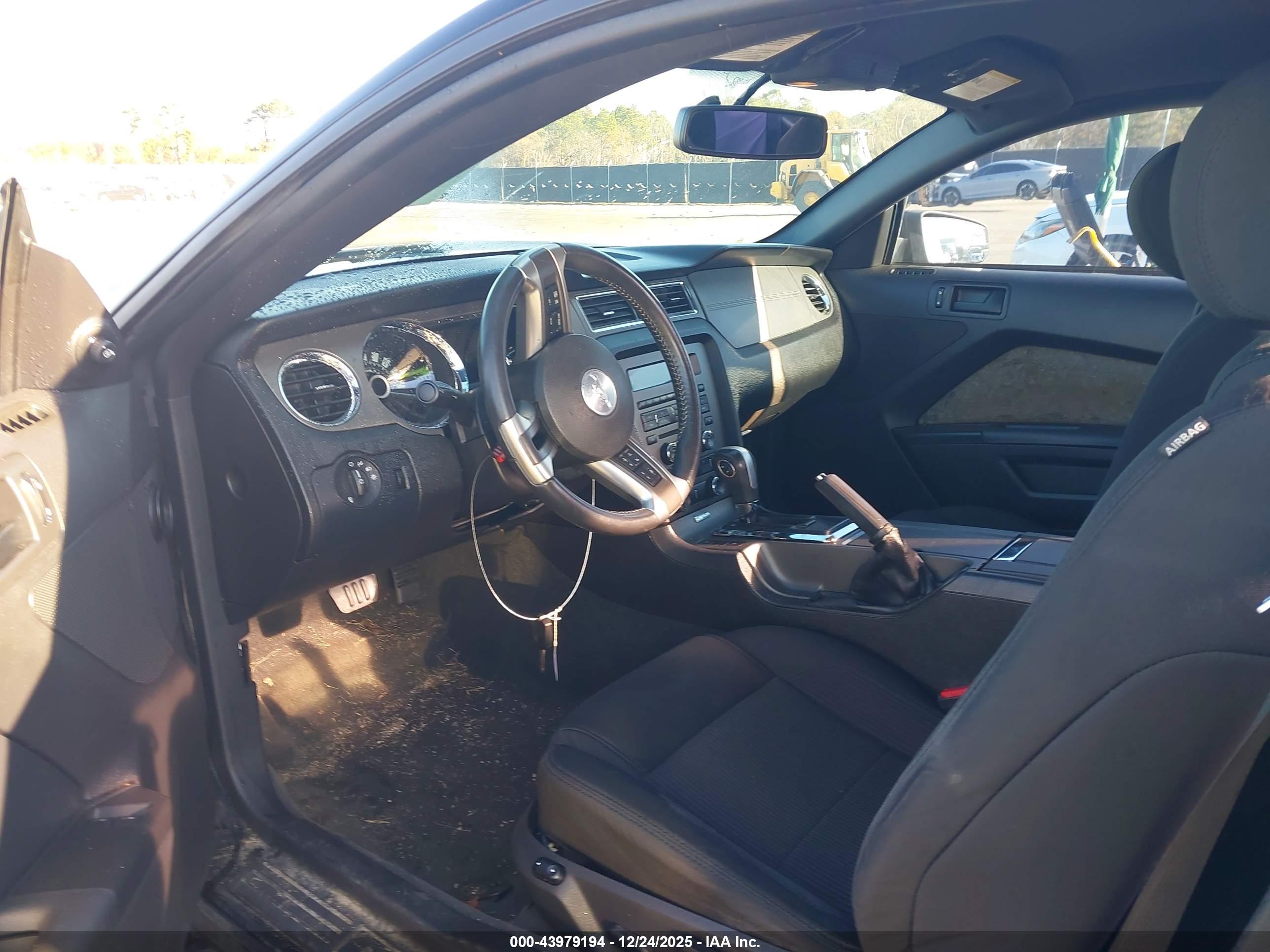 FORD MUSTANG image 5