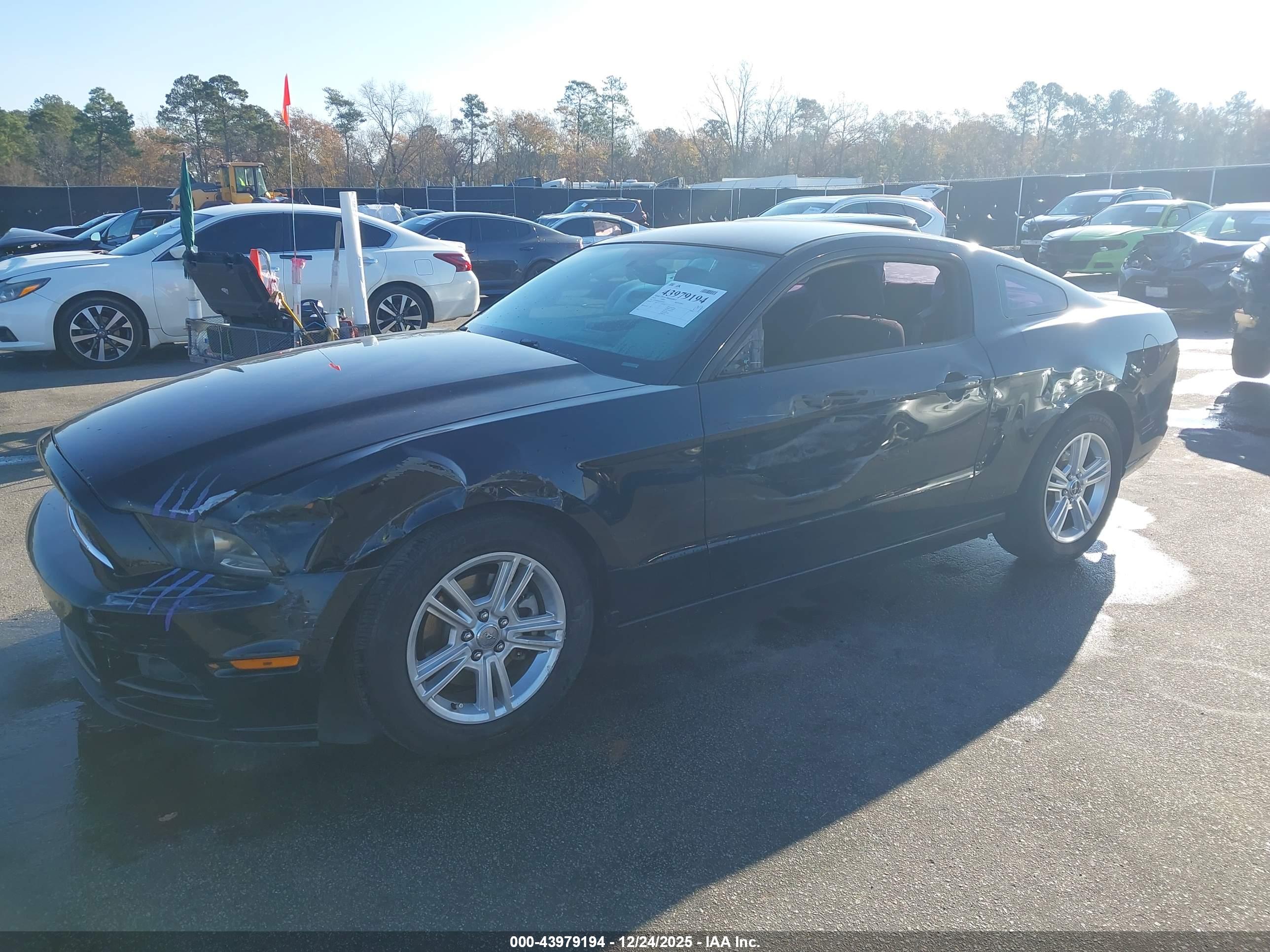 FORD MUSTANG image 6