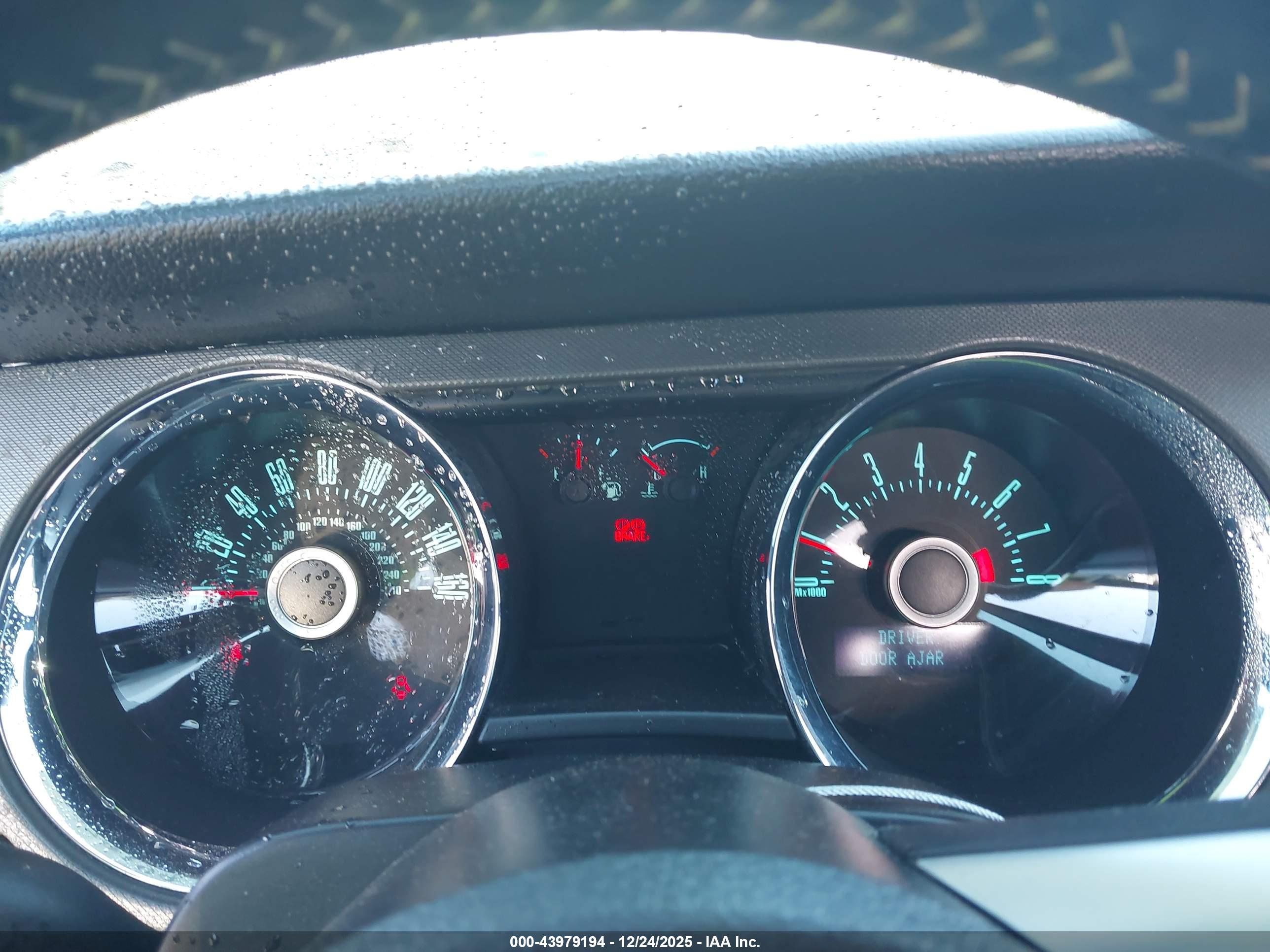 FORD MUSTANG image 7
