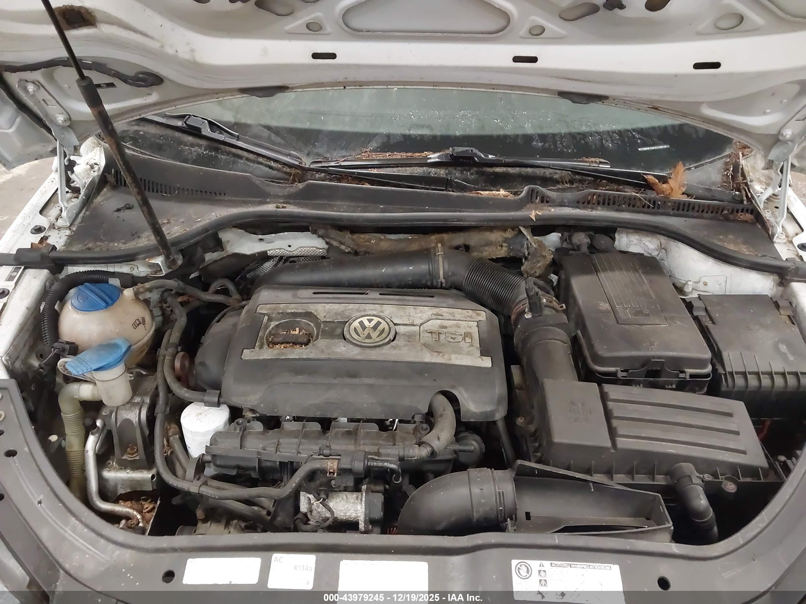 VOLKSWAGEN EOS image 10