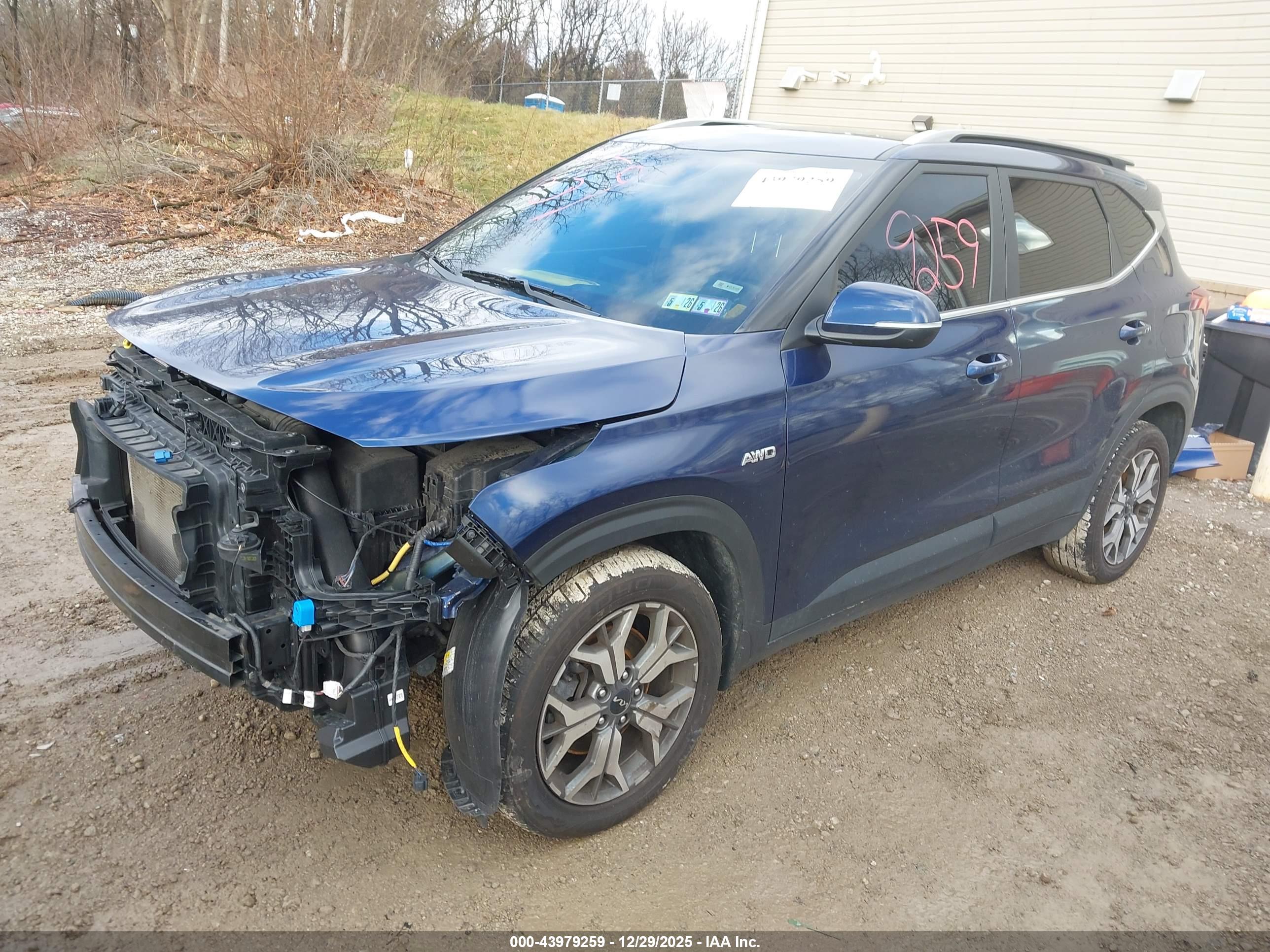 KIA SELTOS image 2