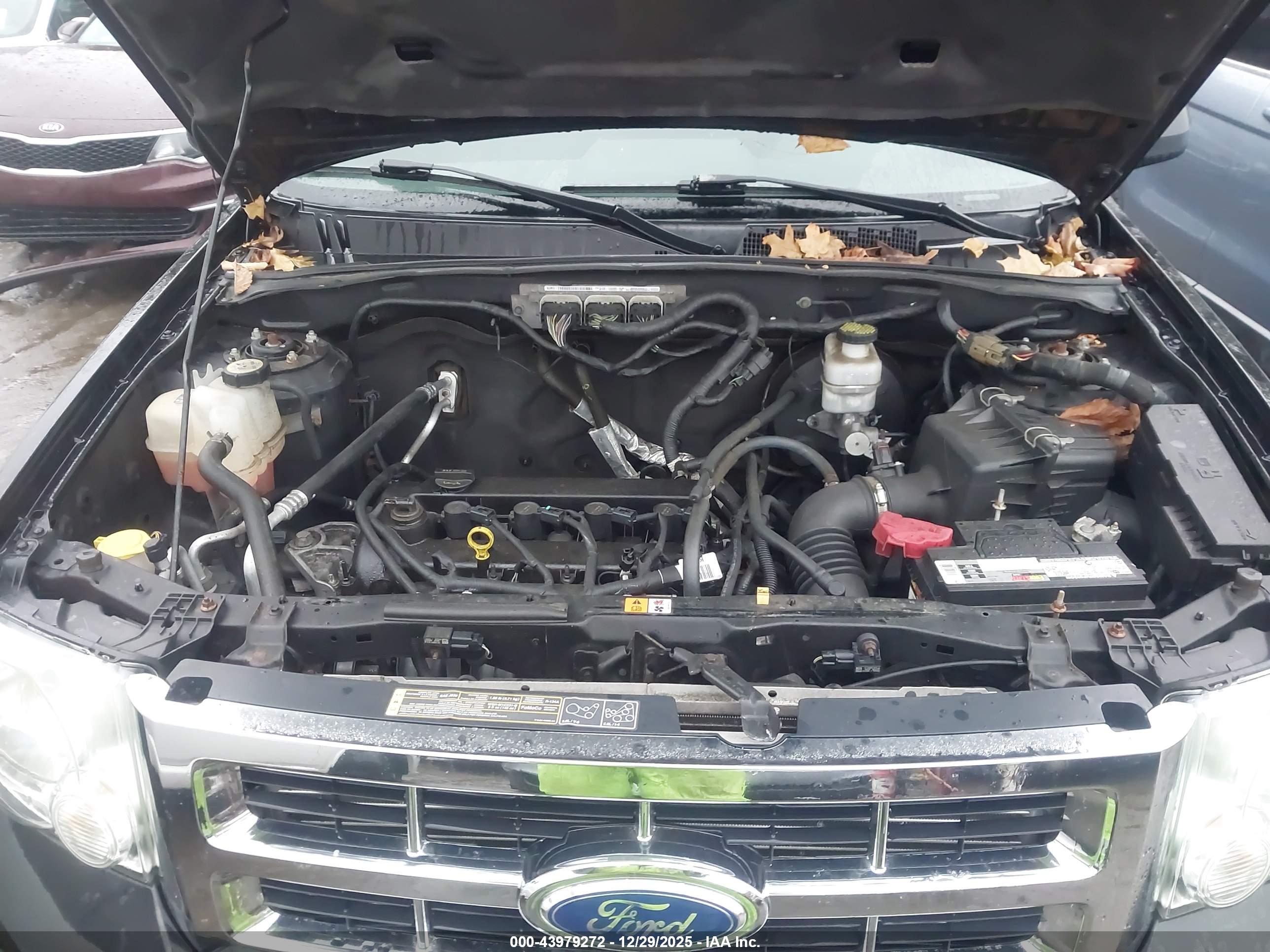FORD ESCAPE image 10
