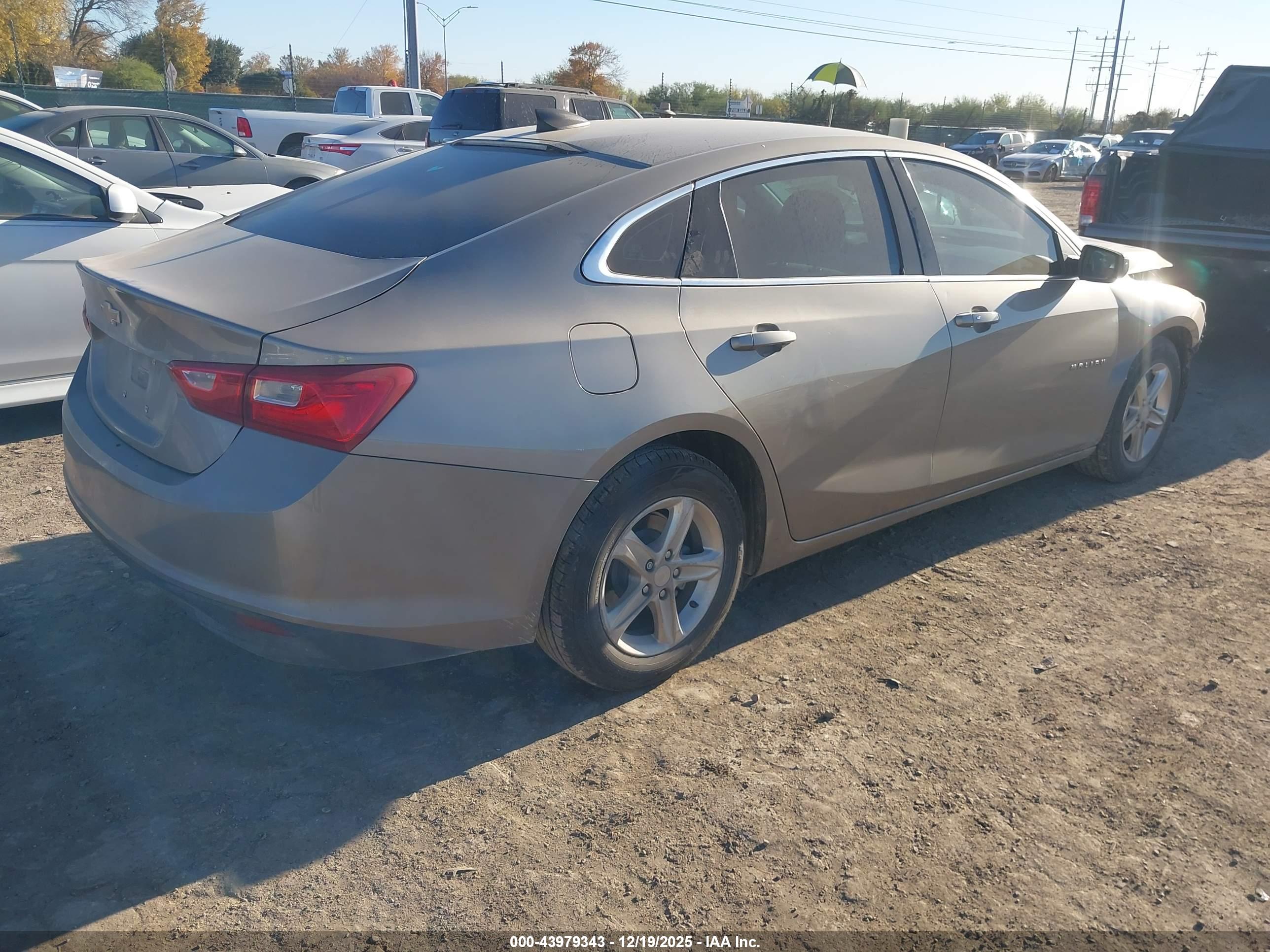 CHEVROLET MALIBU image 4