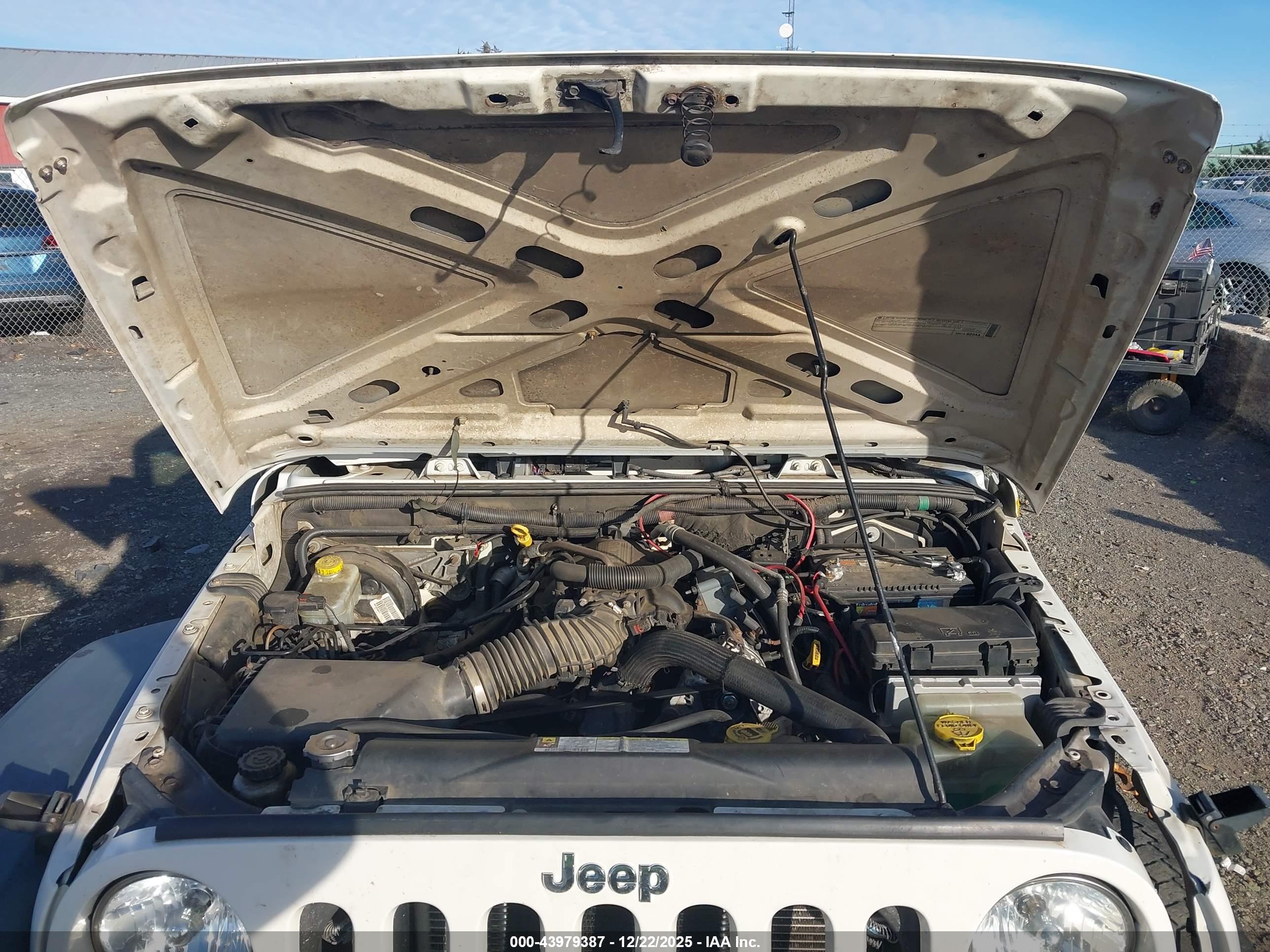 JEEP WRANGLER image 10