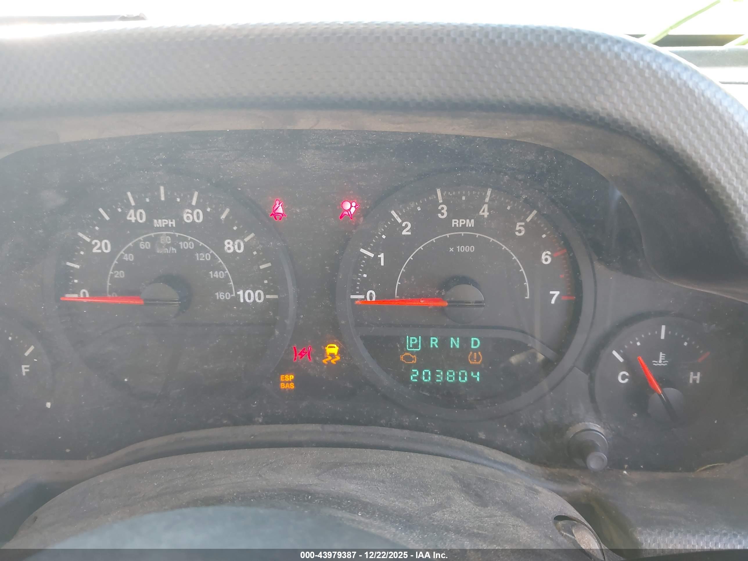 JEEP WRANGLER image 7