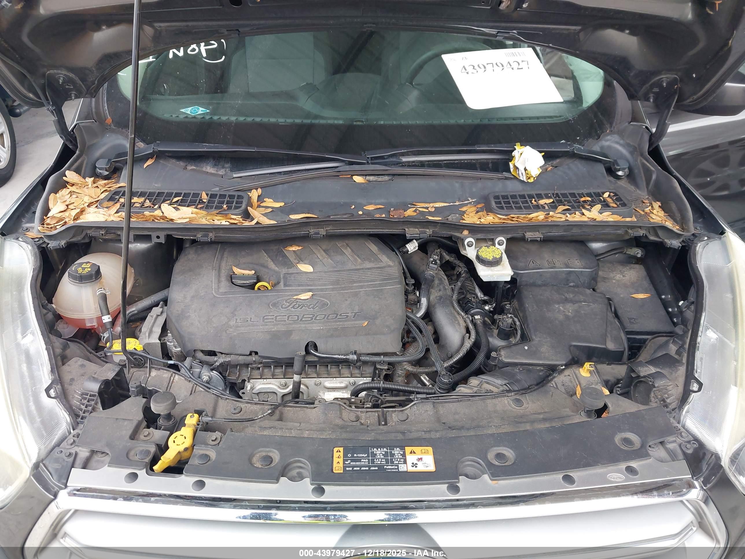 FORD ESCAPE image 10