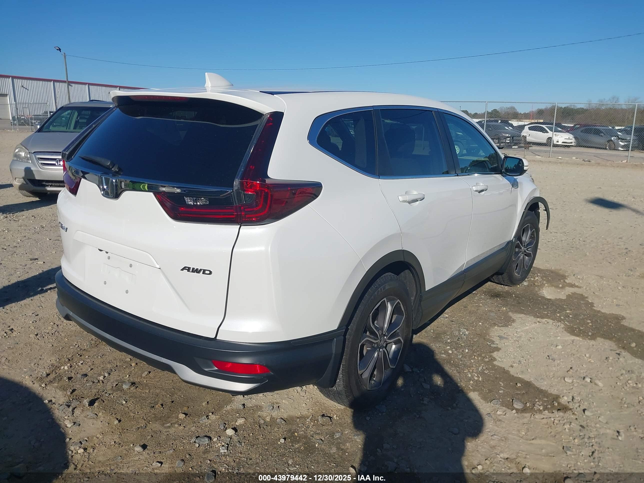 HONDA CR-V image 4