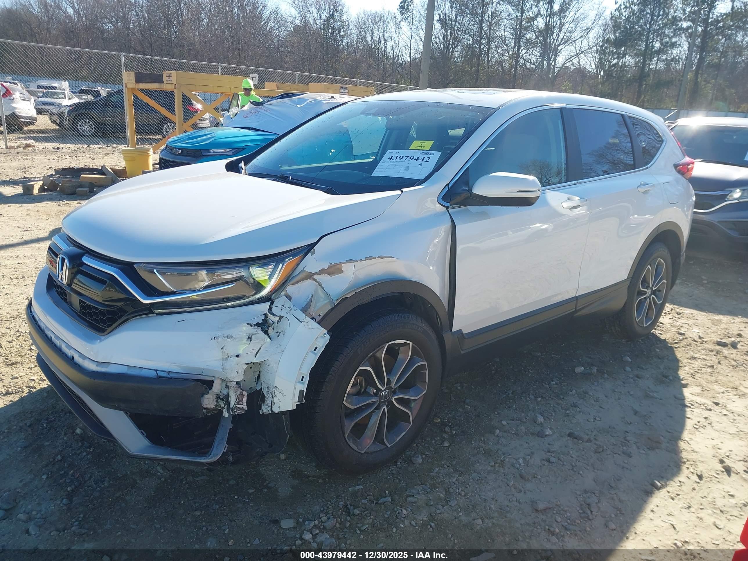 HONDA CR-V image 6