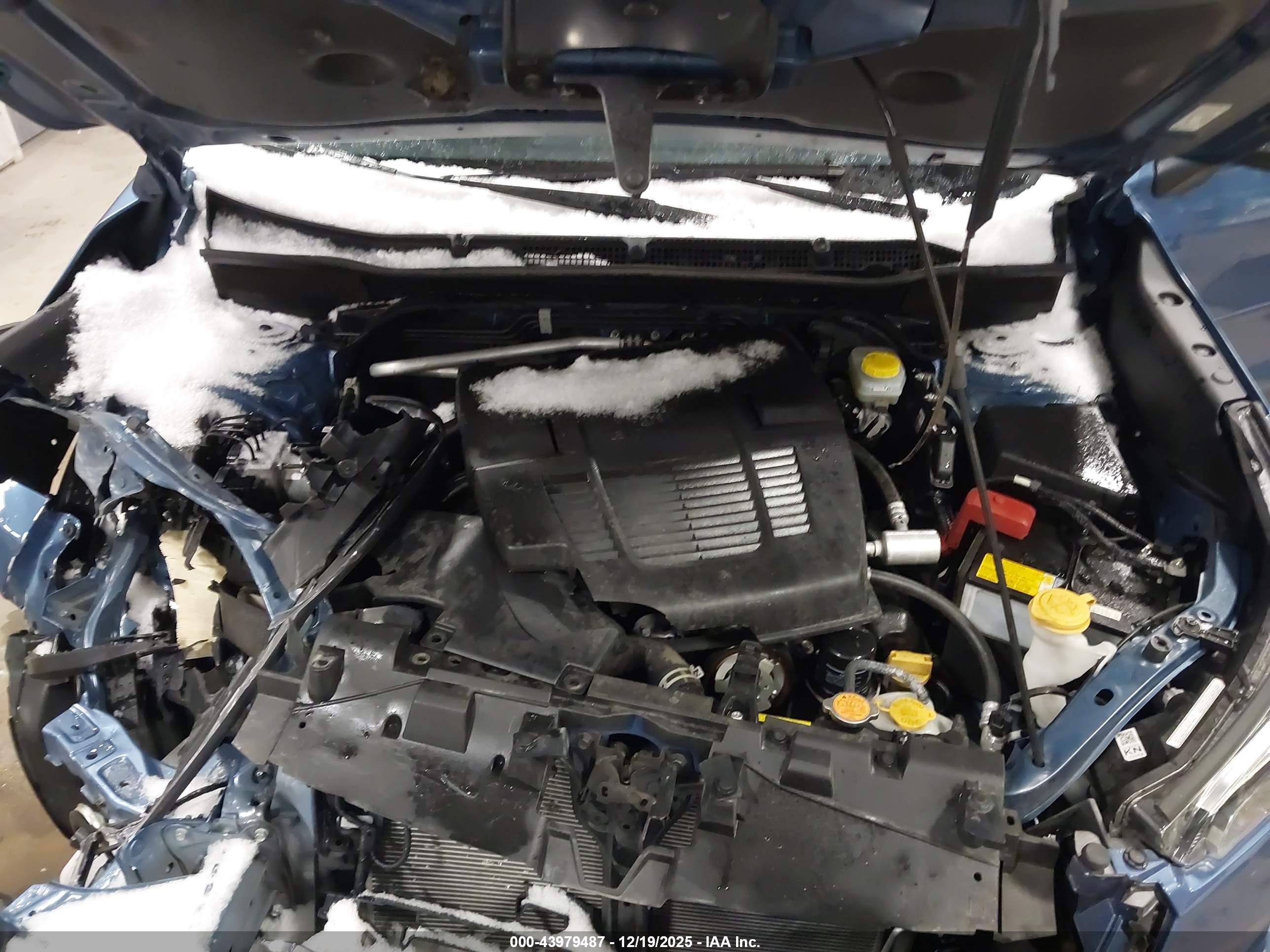 SUBARU FORESTER image 10