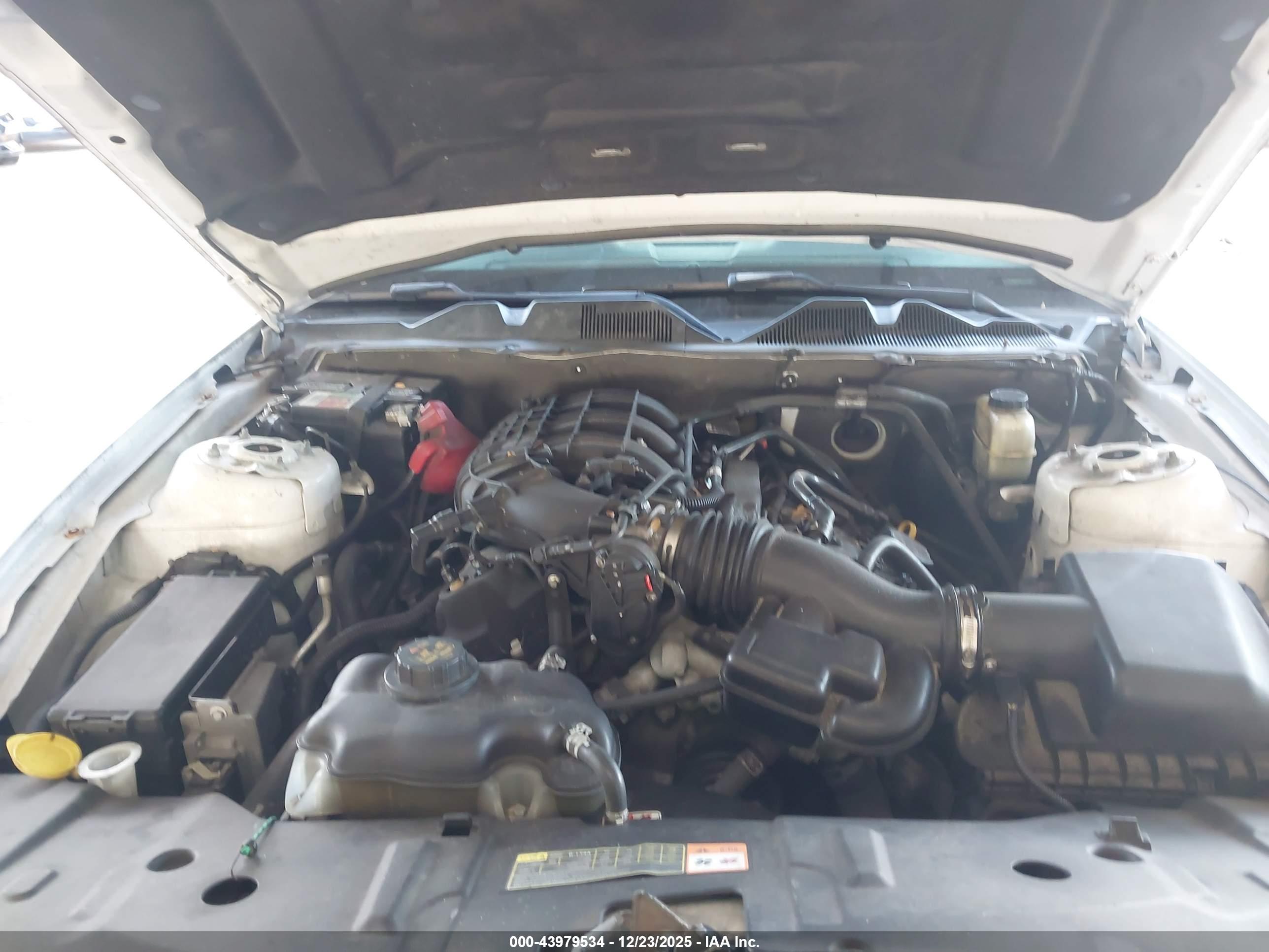 FORD MUSTANG image 10