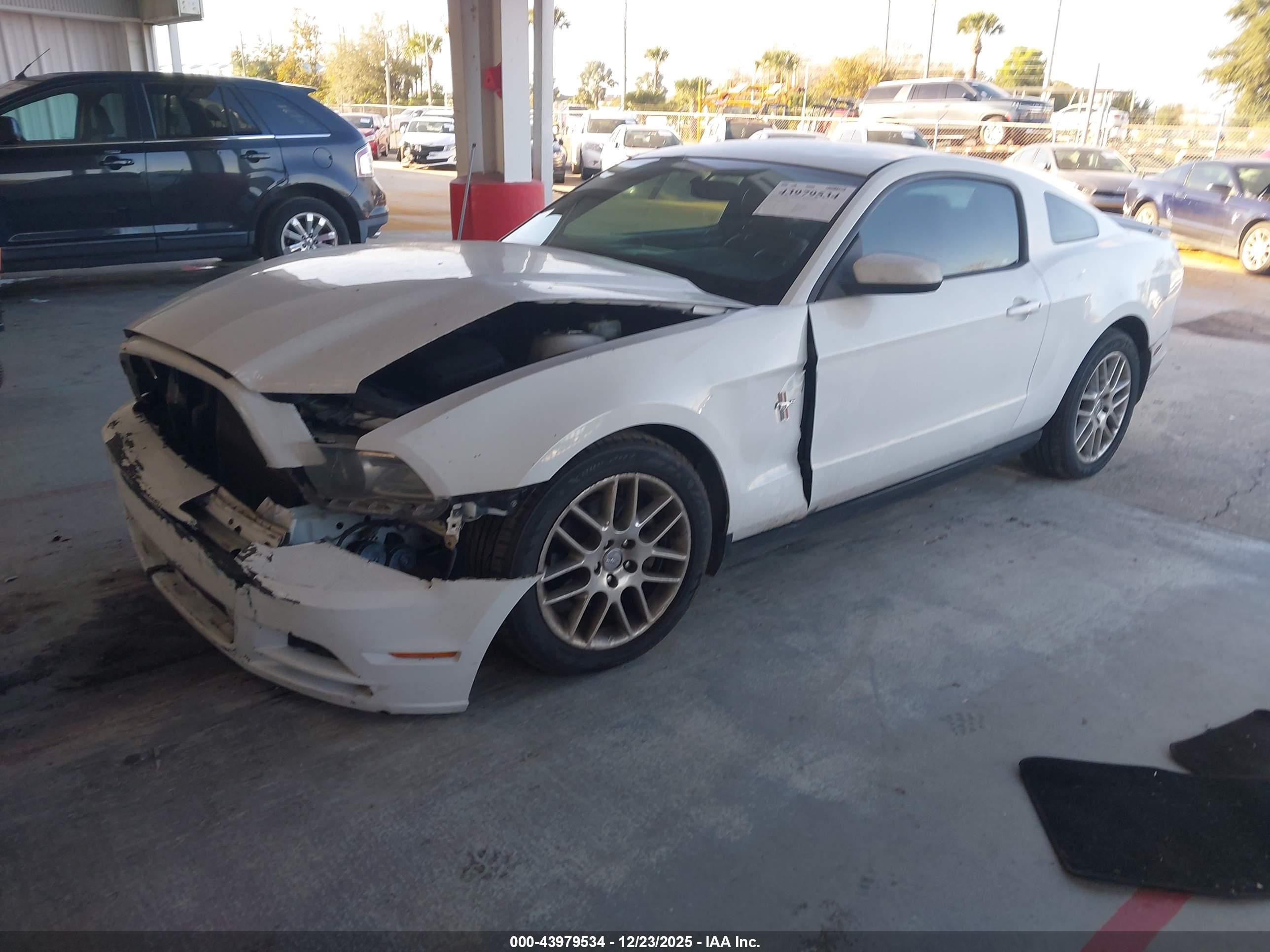 FORD MUSTANG image 2
