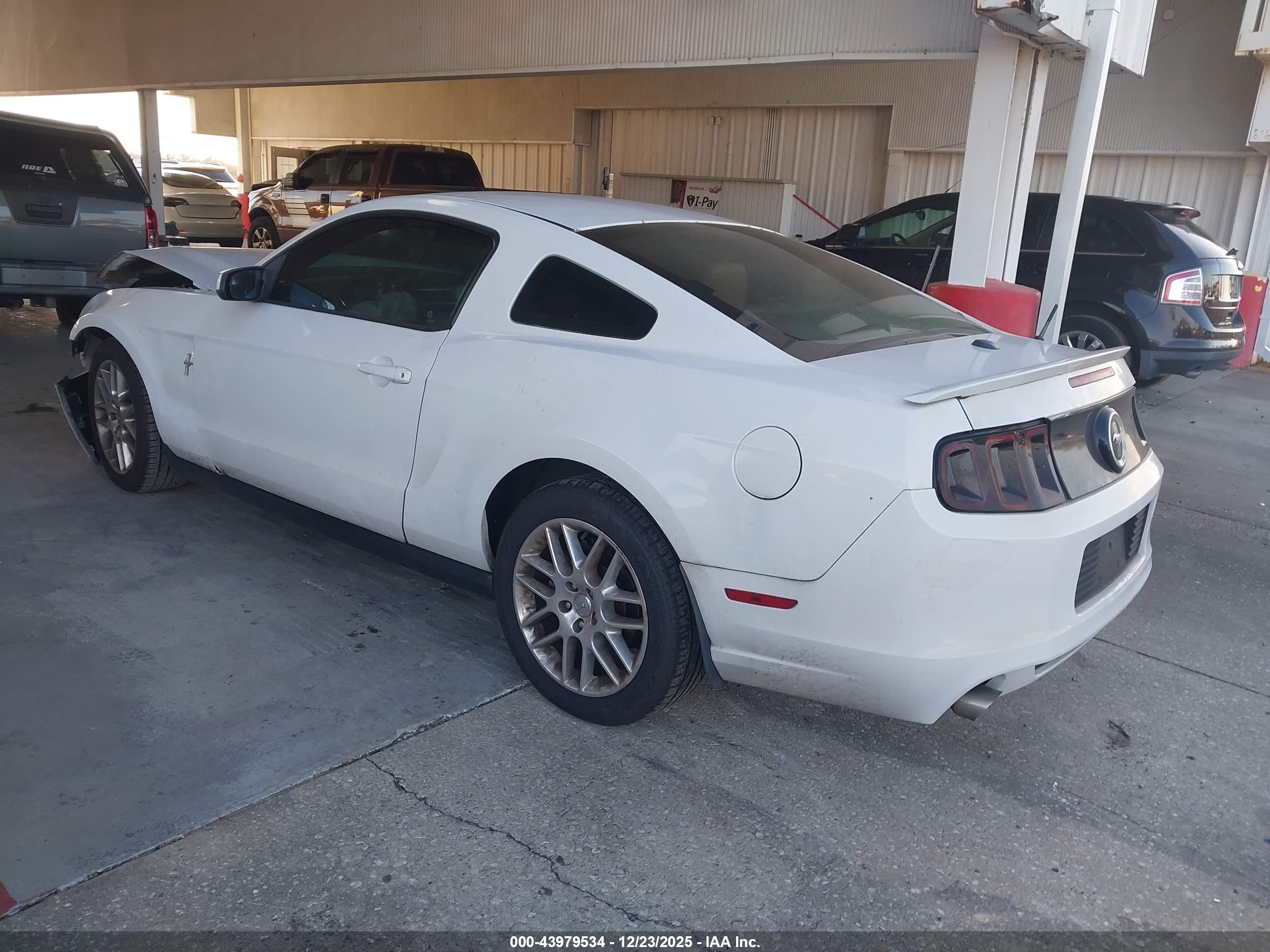 FORD MUSTANG image 3