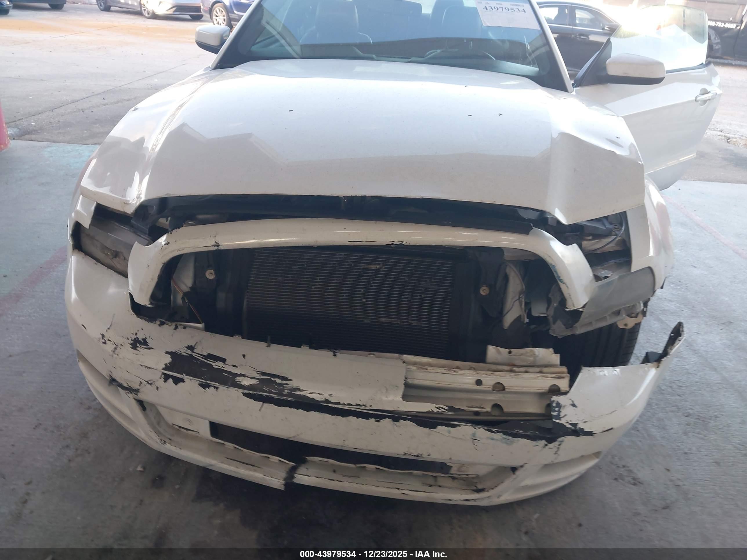 FORD MUSTANG image 6