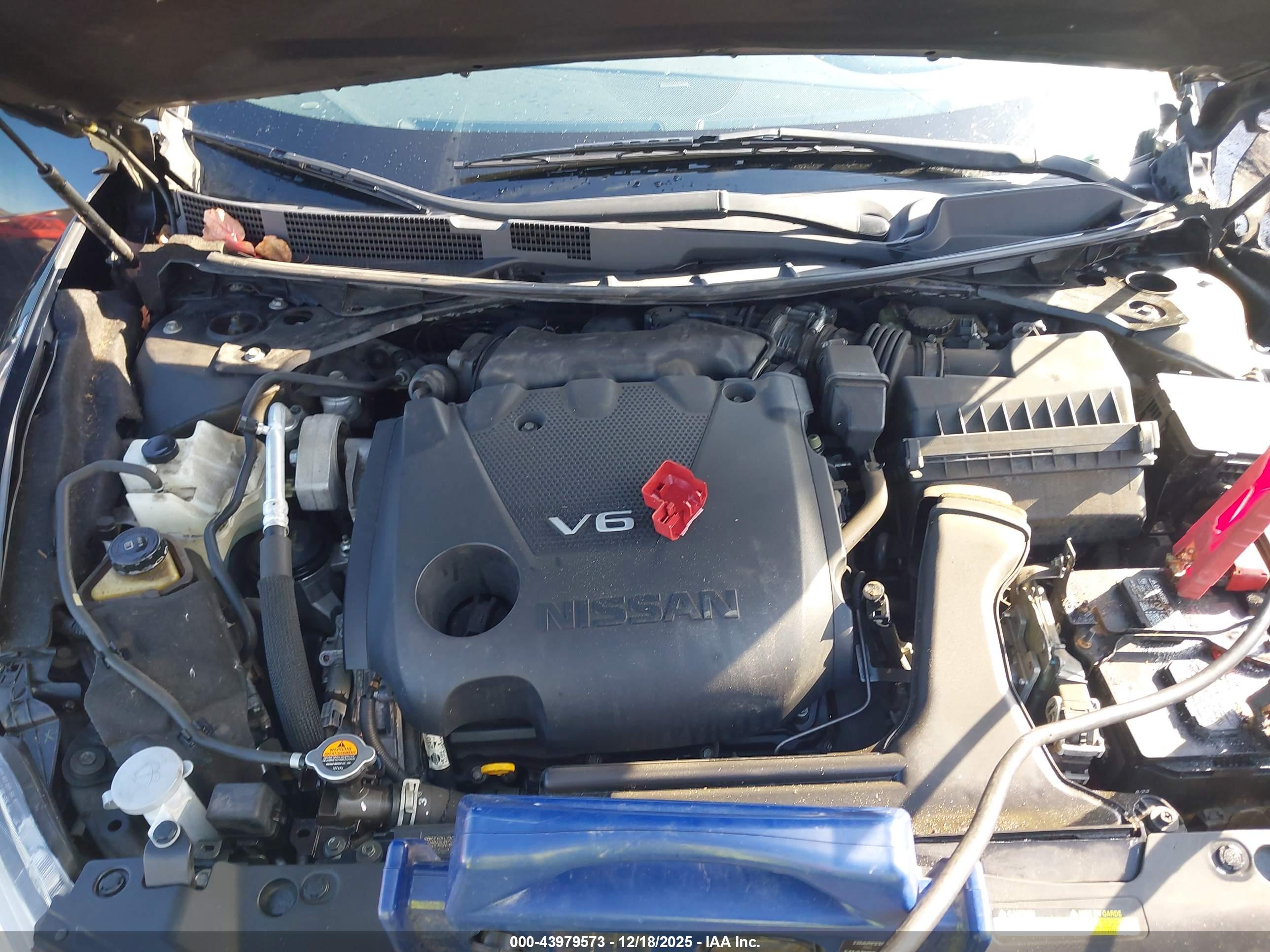 NISSAN MAXIMA image 10
