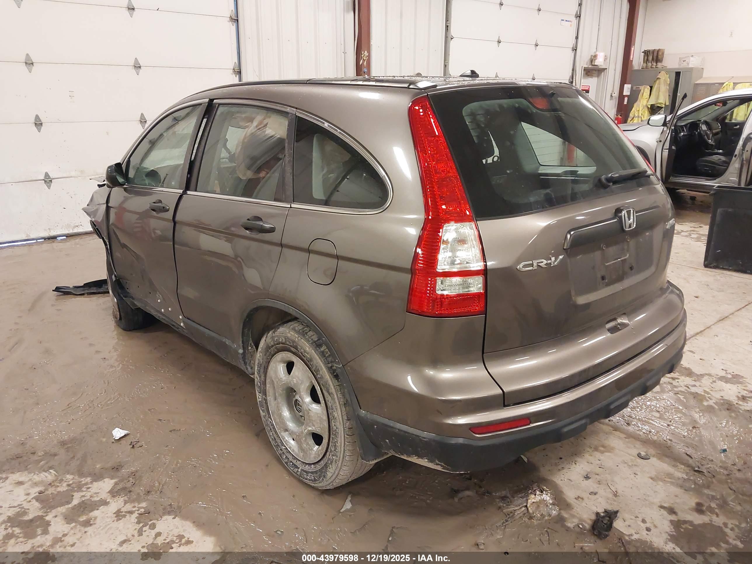 HONDA CR-V image 3