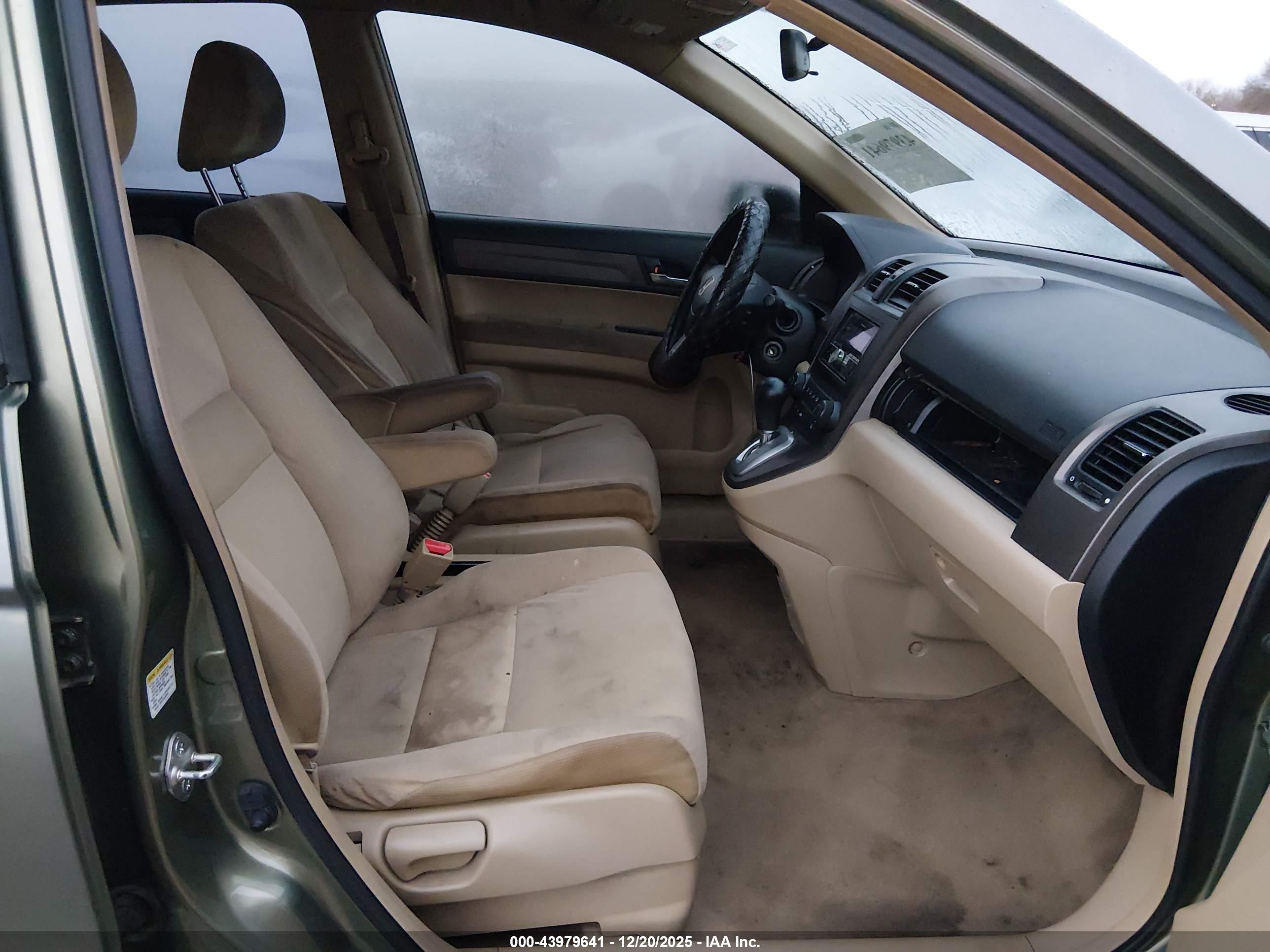 HONDA CR-V image 5